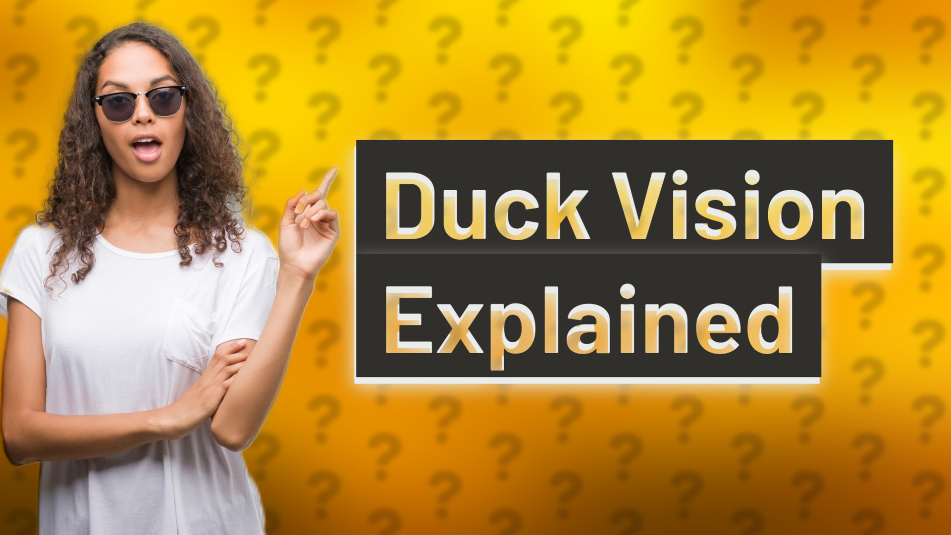 Duck Vision Explained