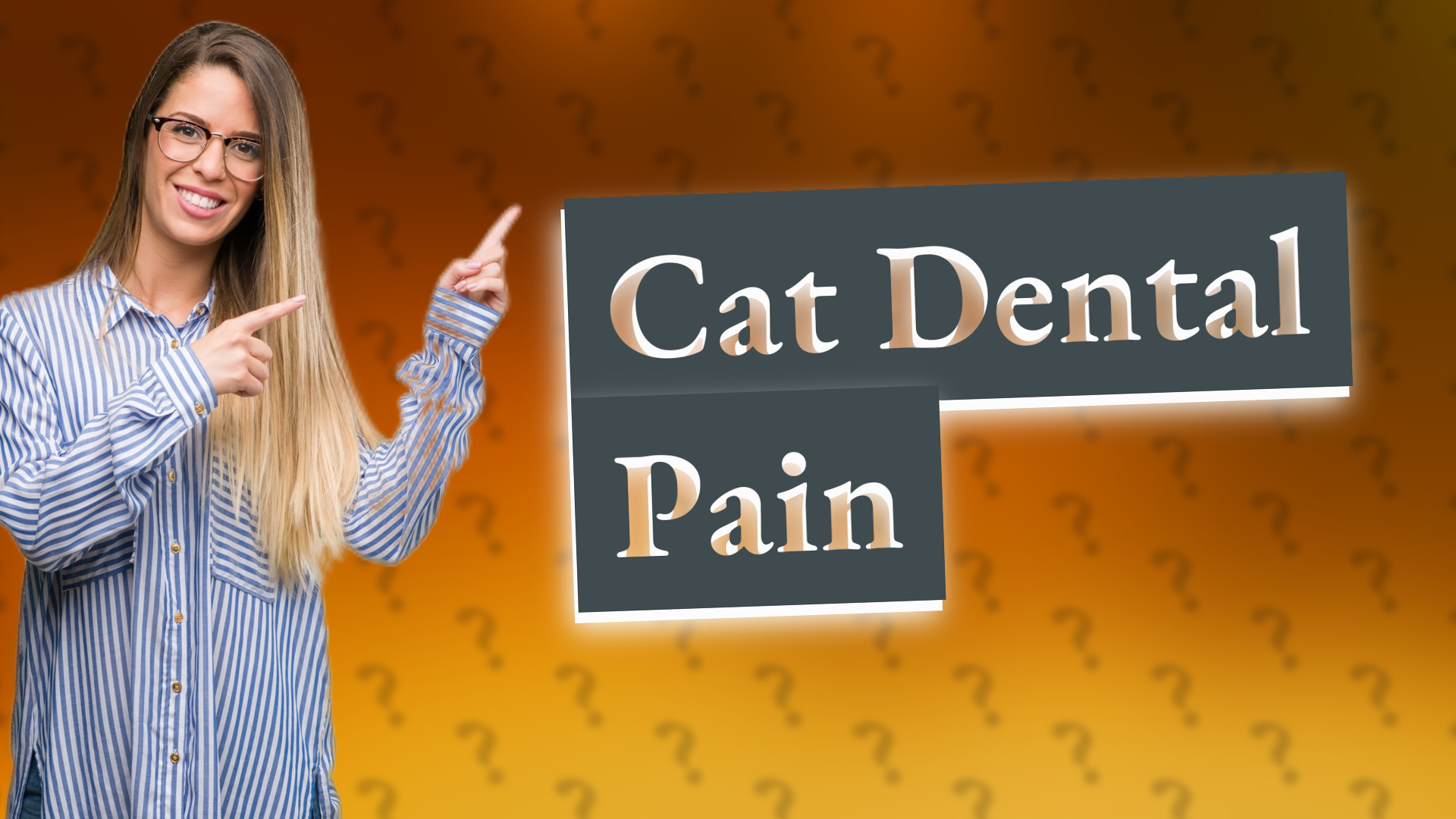 Cat Dental Pain