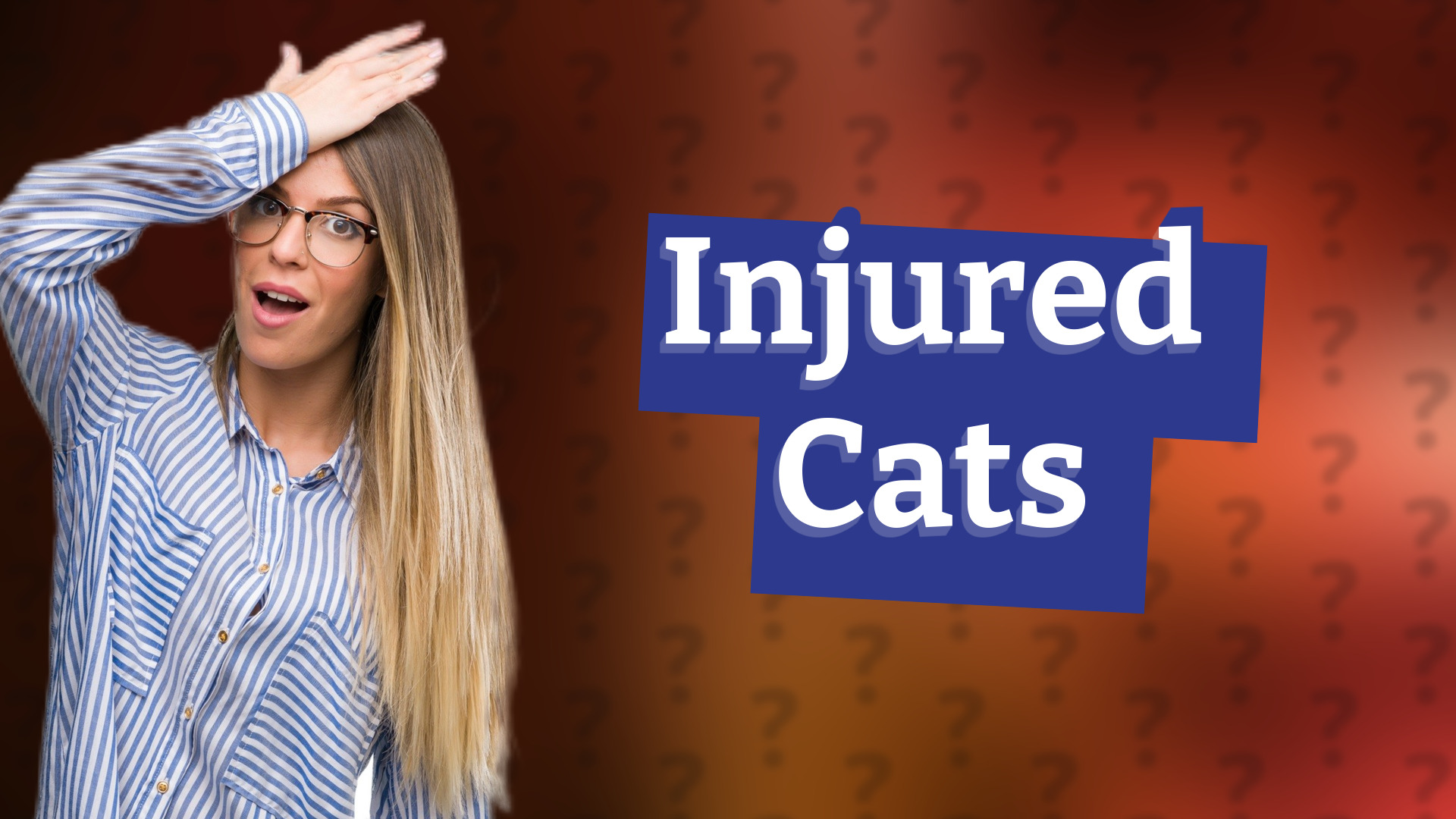 Injured Cats