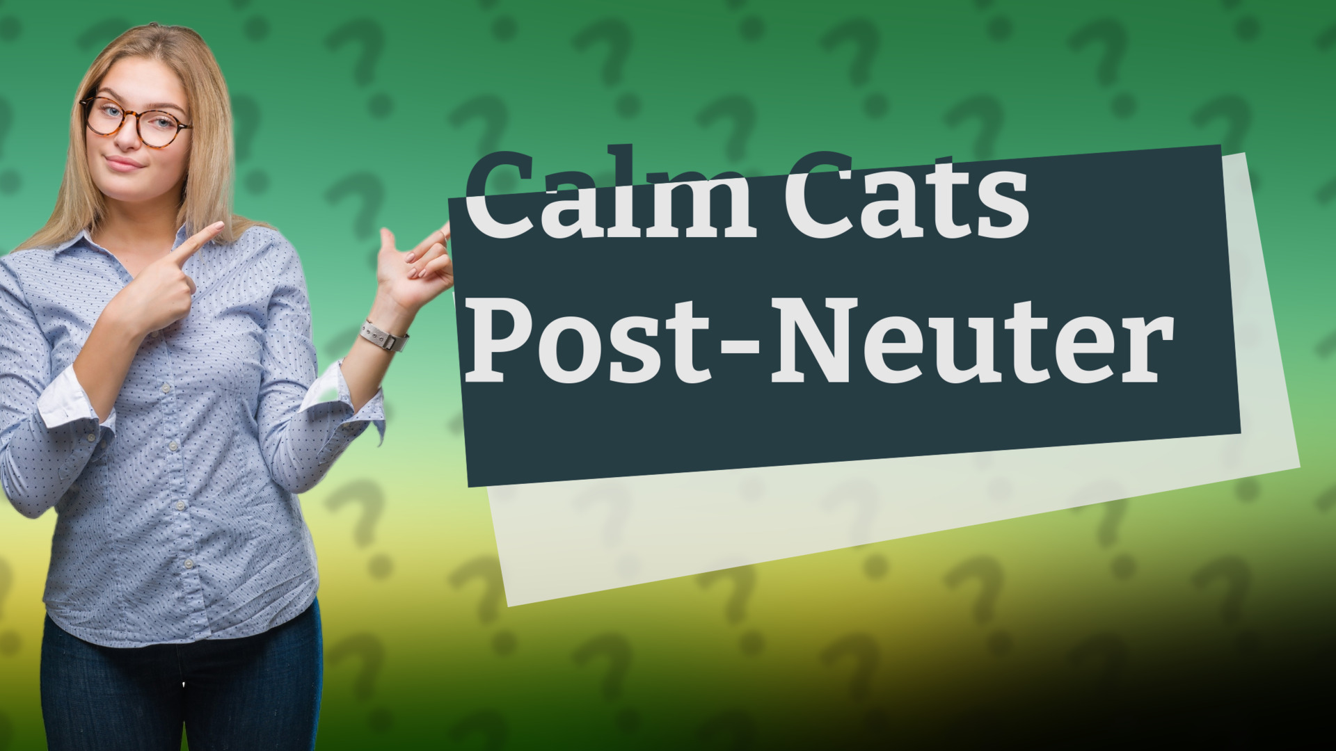 Calm Cats Post-Neuter