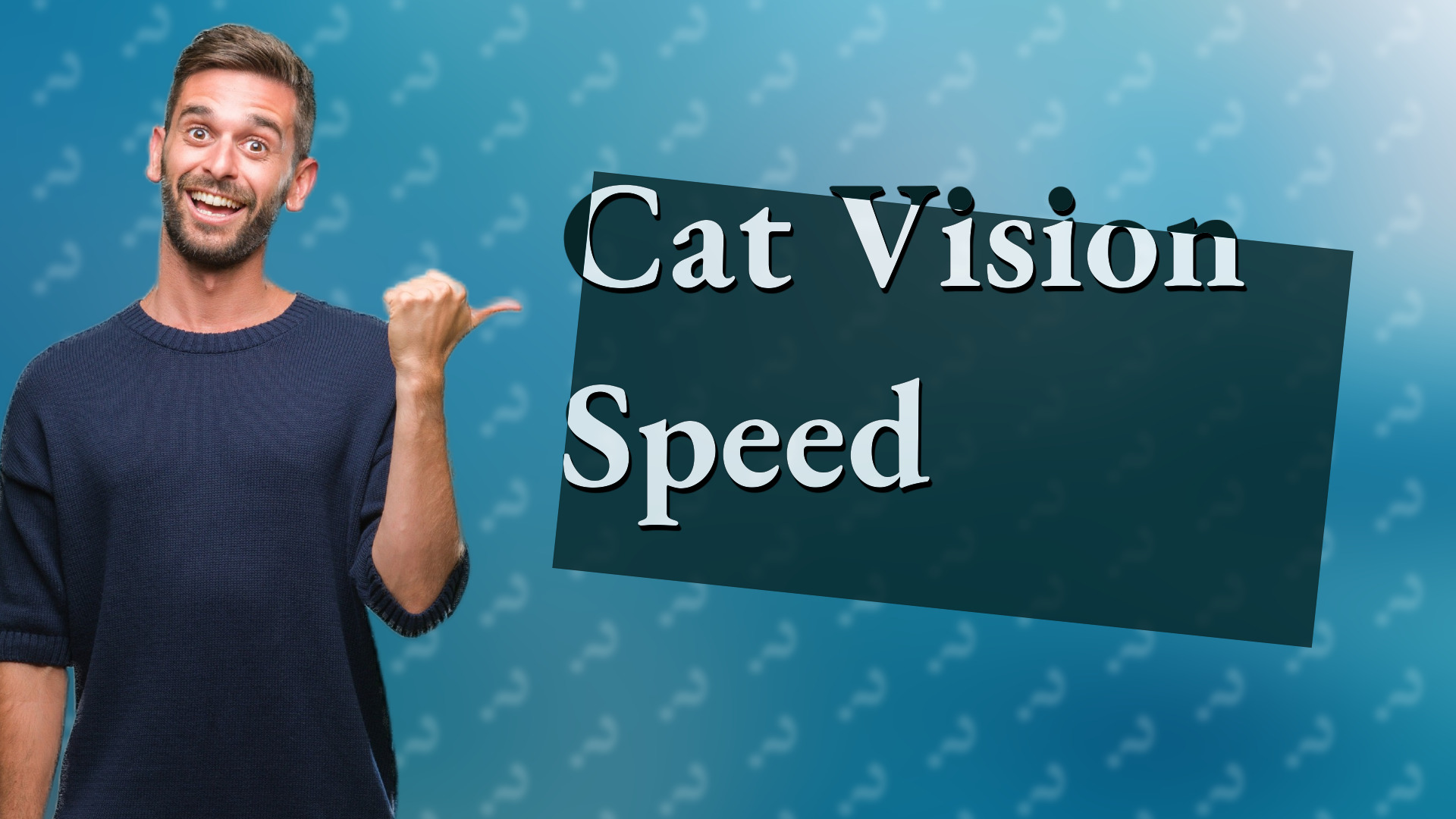 Cat Vision Speed