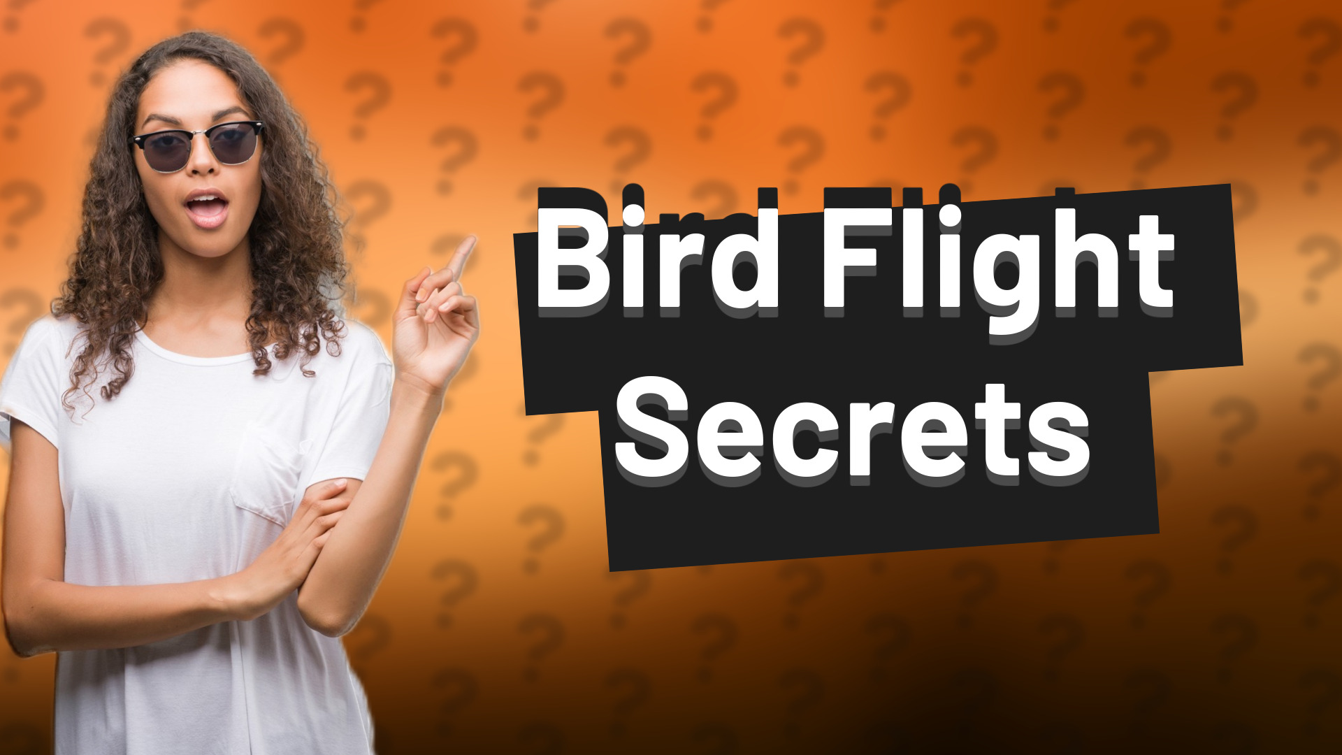 Bird Flight Secrets