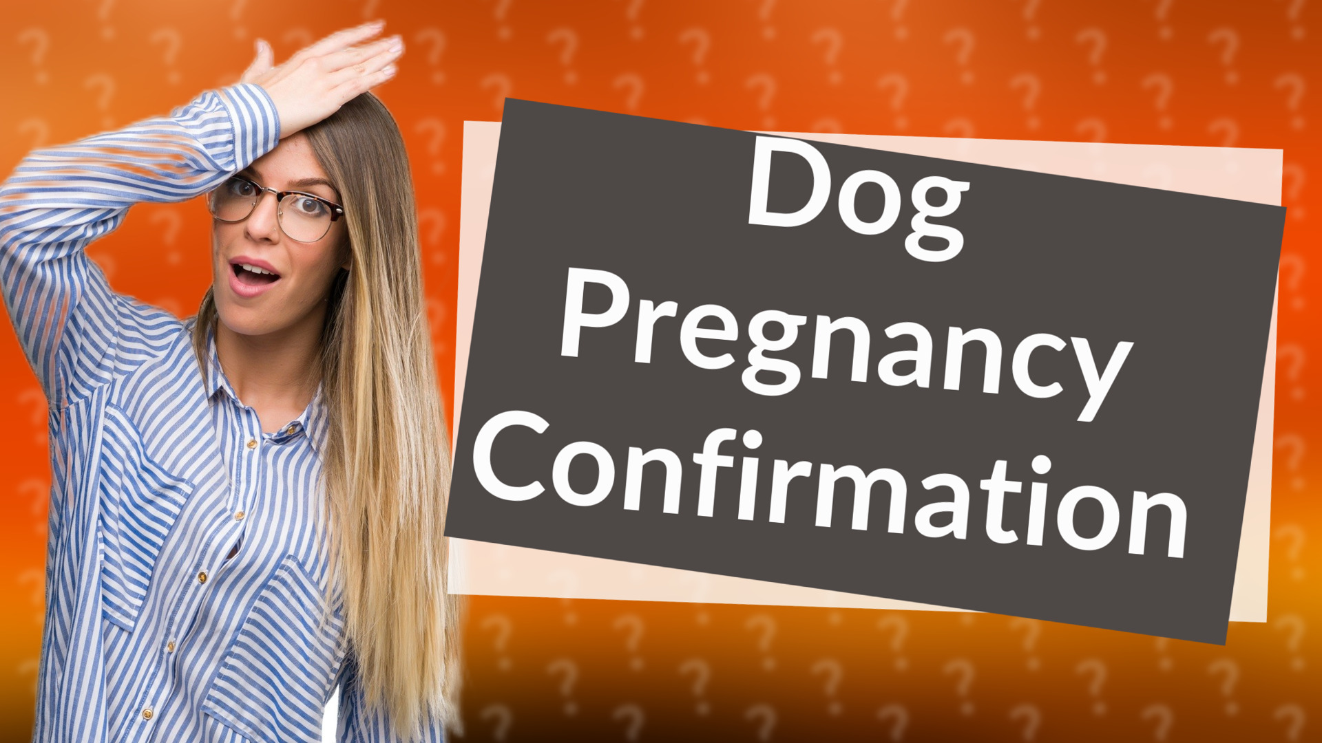 Dog Pregnancy Confirmation