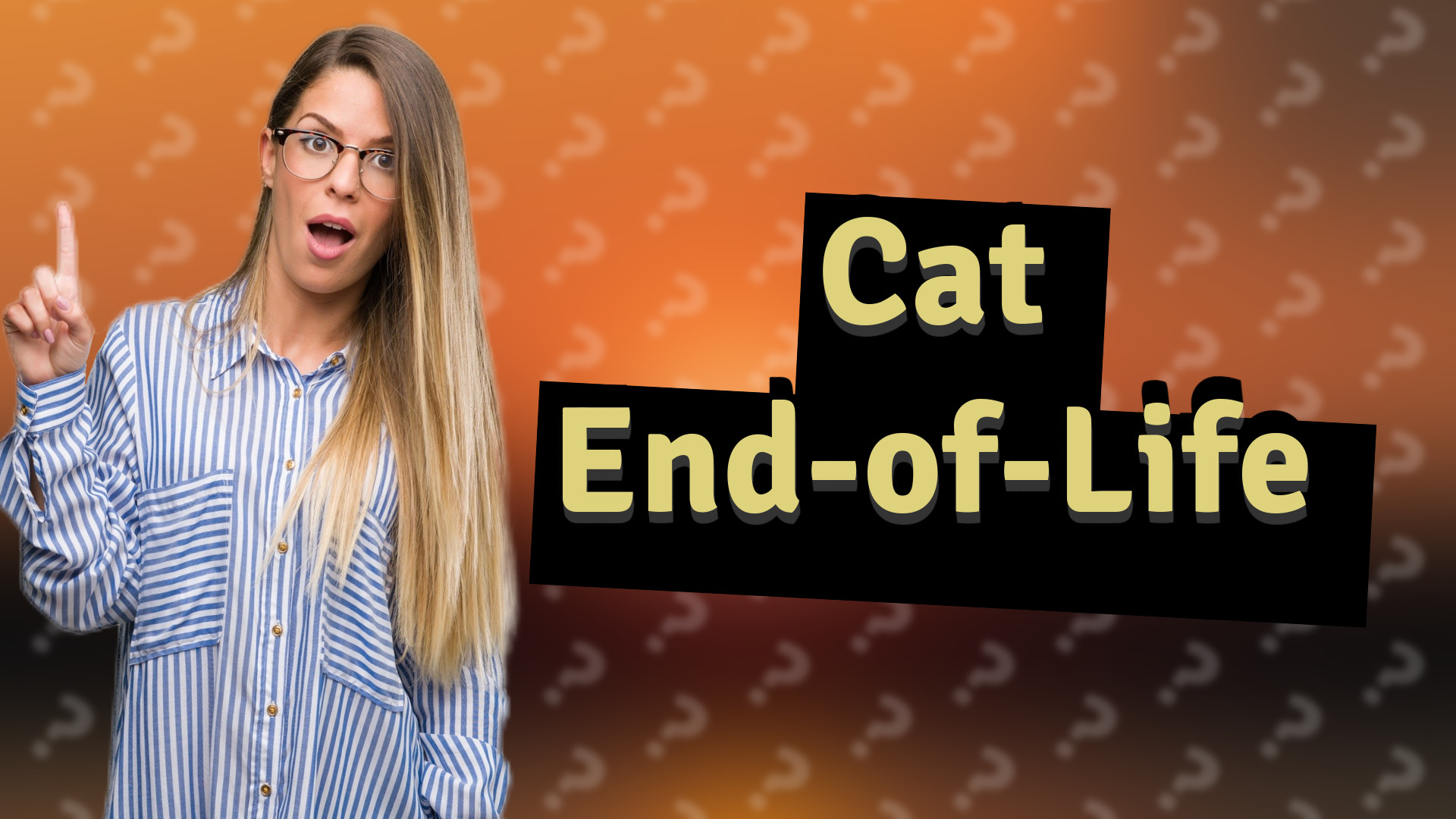 Cat End-of-Life