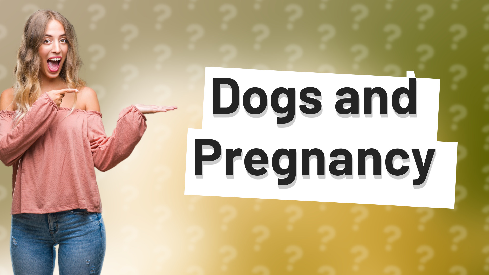Dogs and Pregnancy