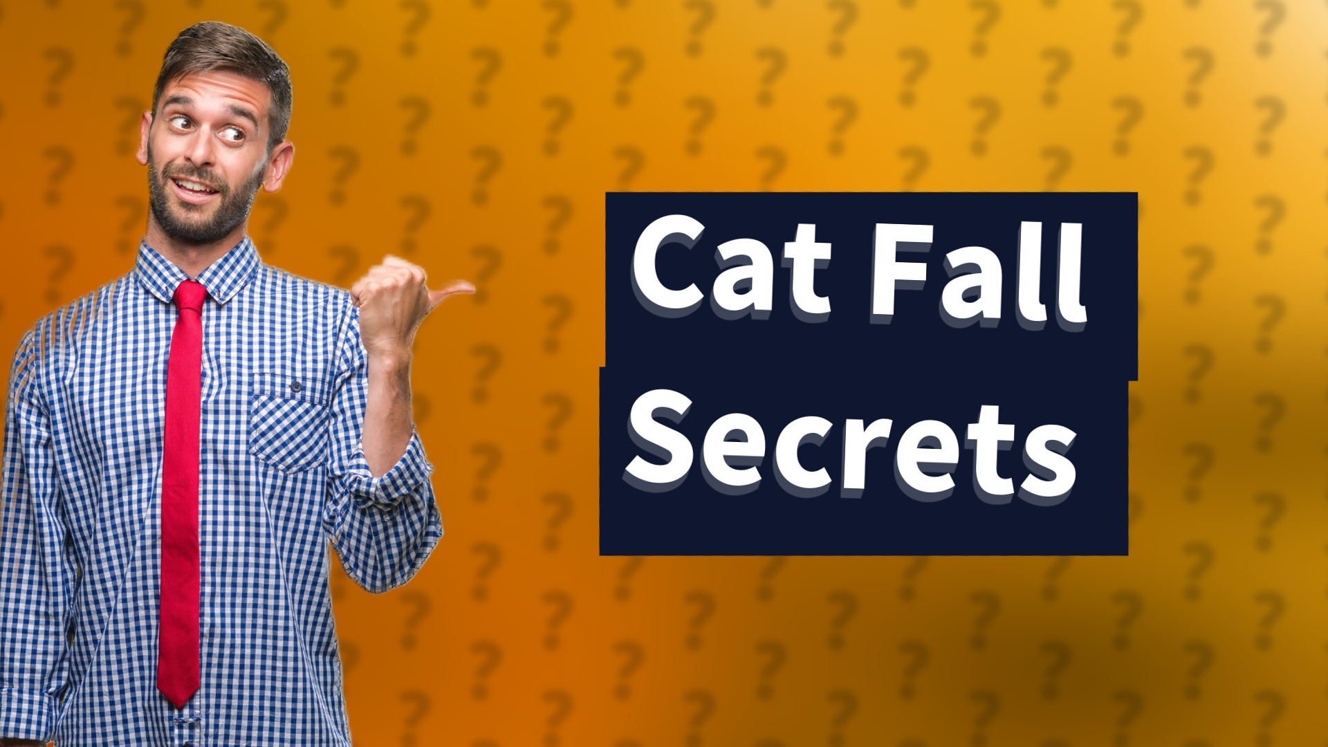 Cat Fall Secrets