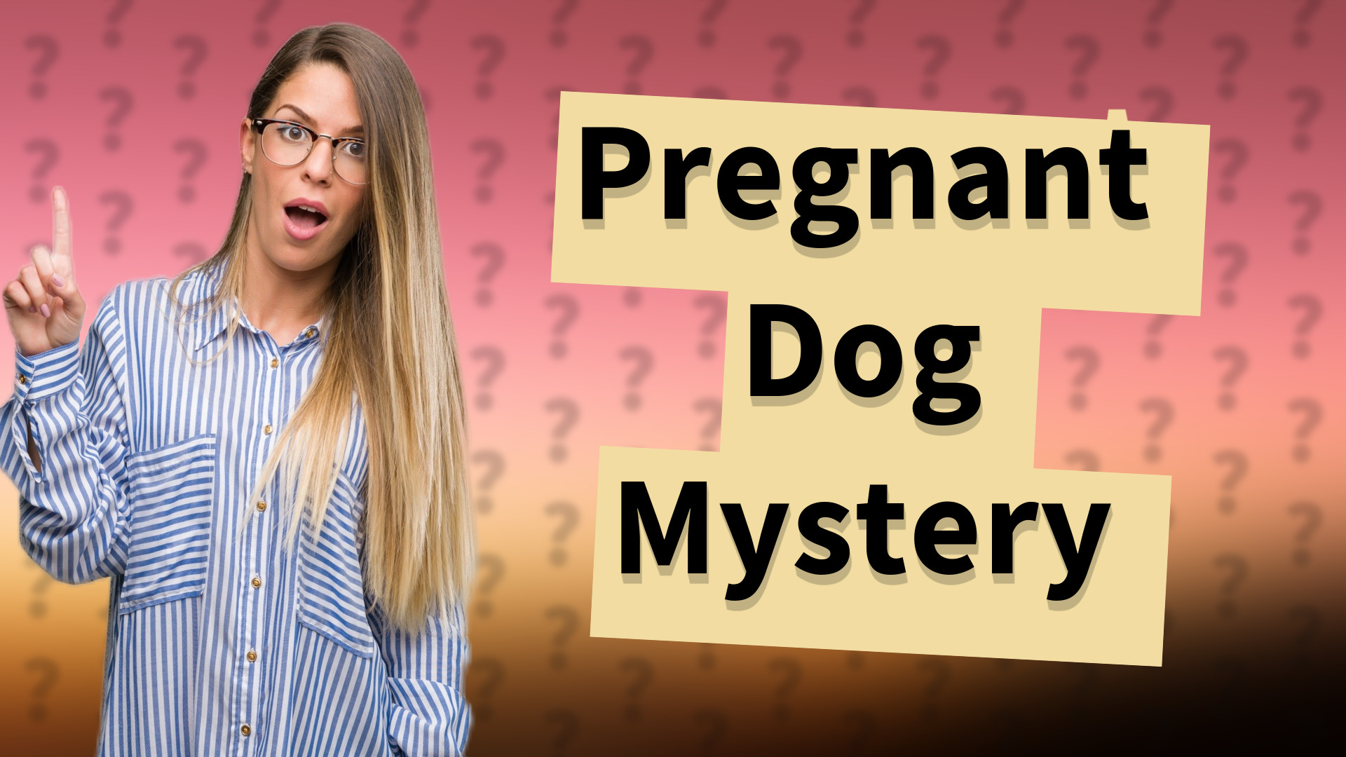 Pregnant Dog Mystery