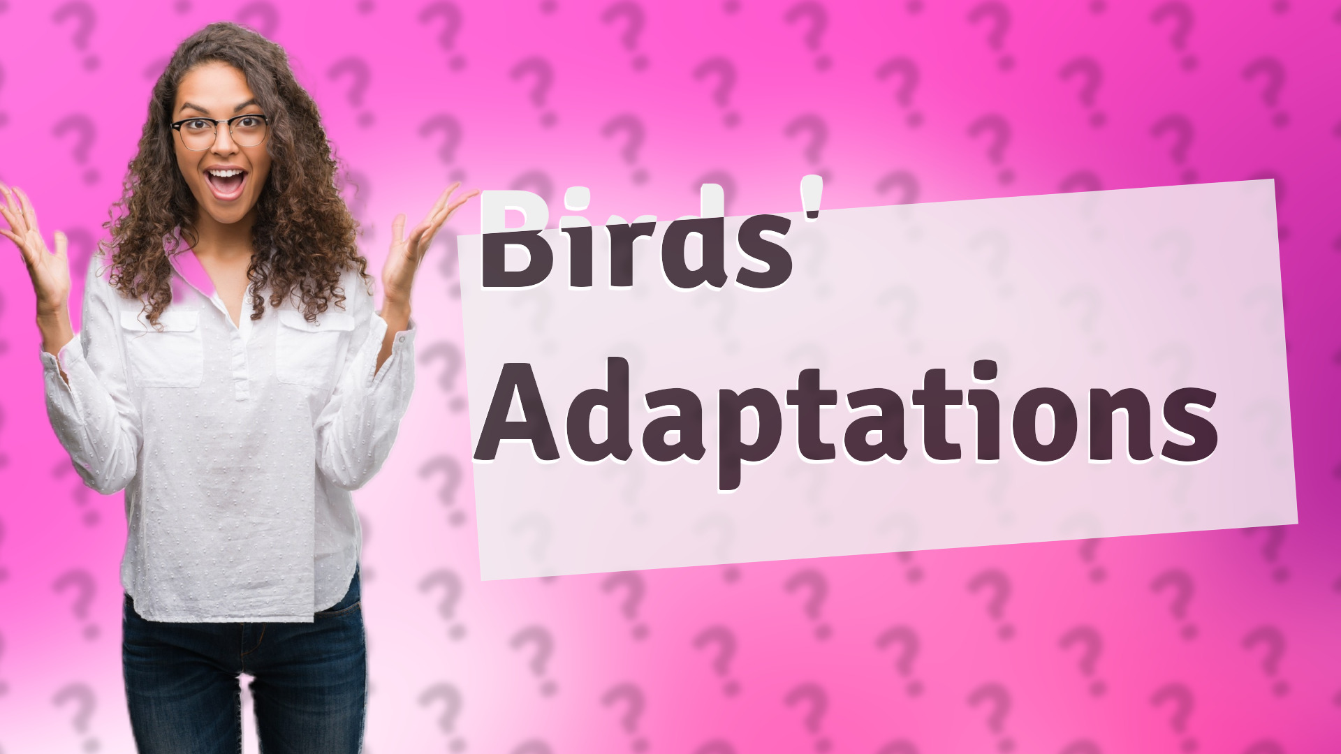 Birds' Adaptations