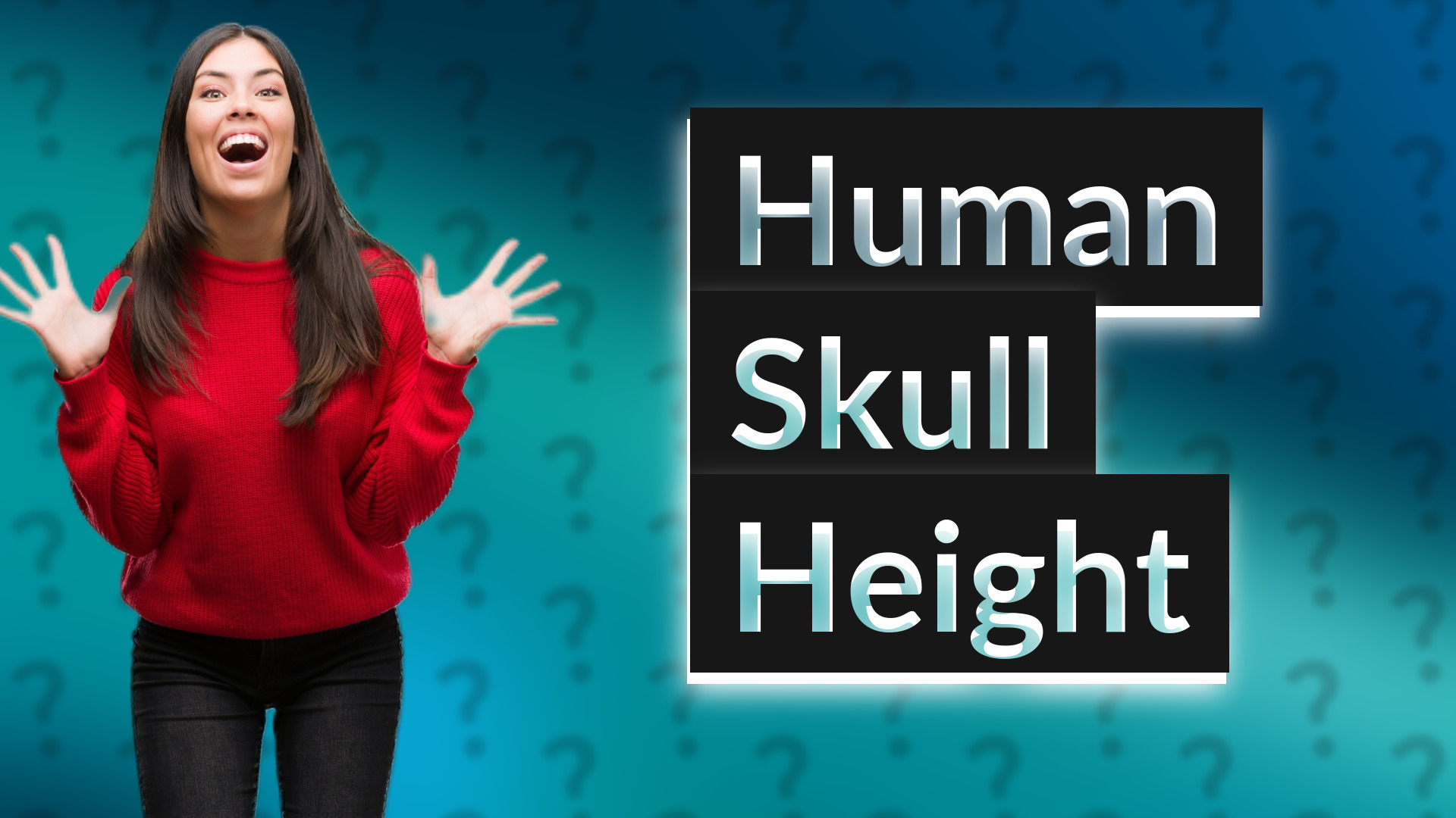 Human Skull Height