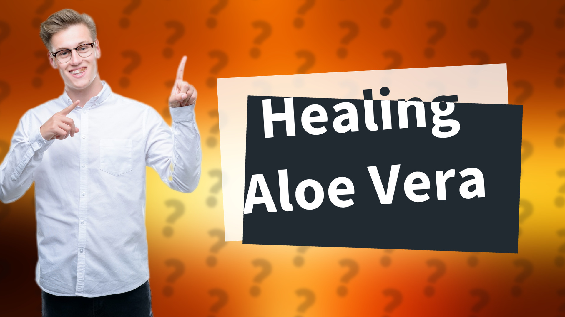 Healing Aloe Vera