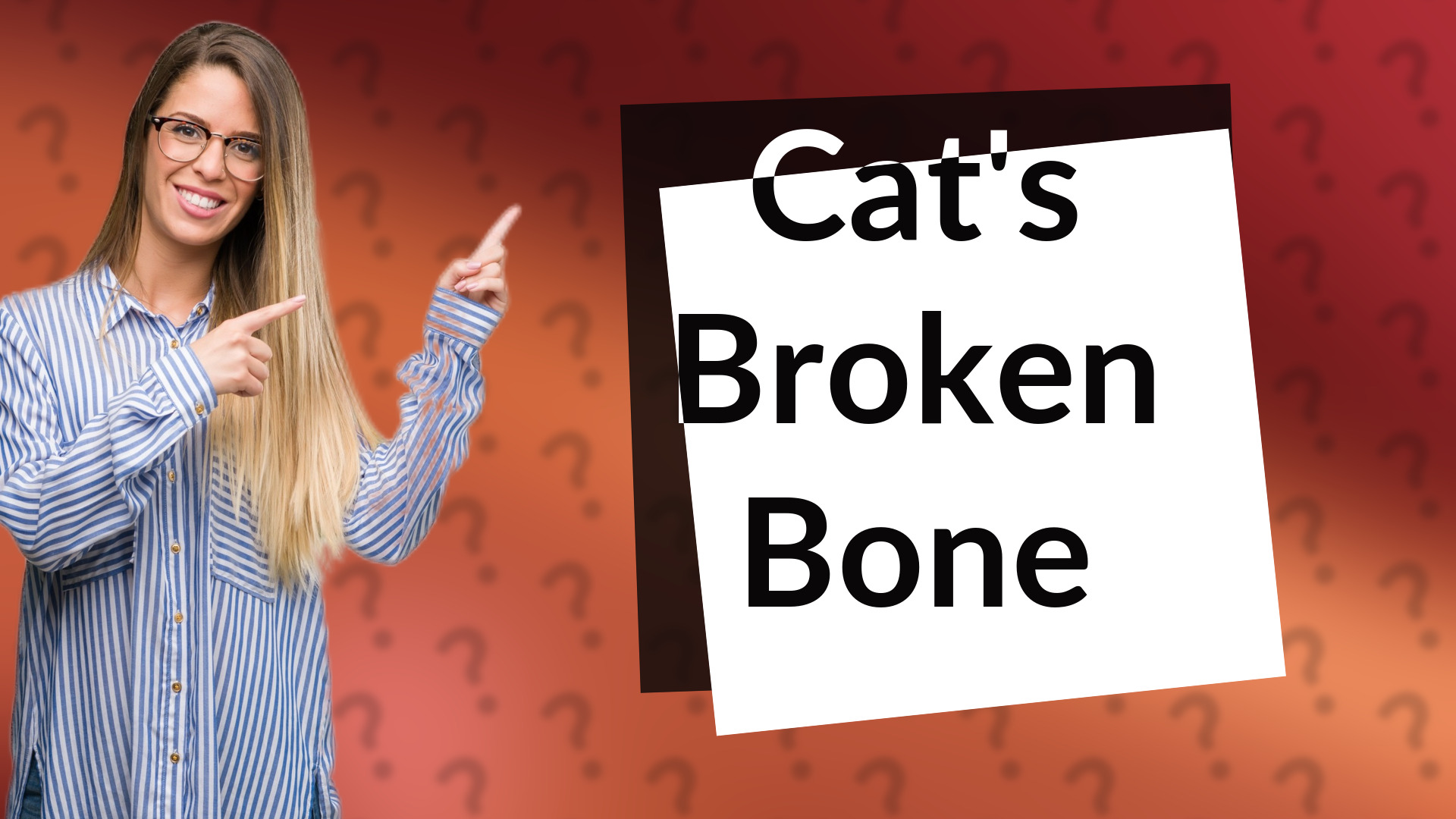 Cat's Broken Bone