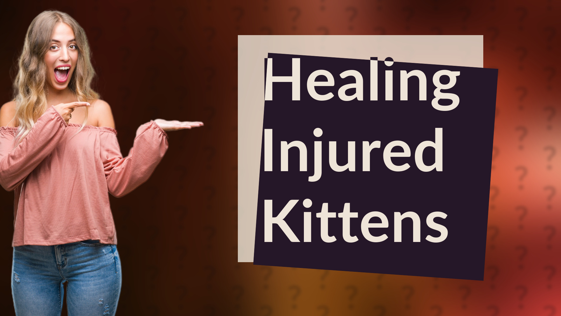 Healing Injured Kittens