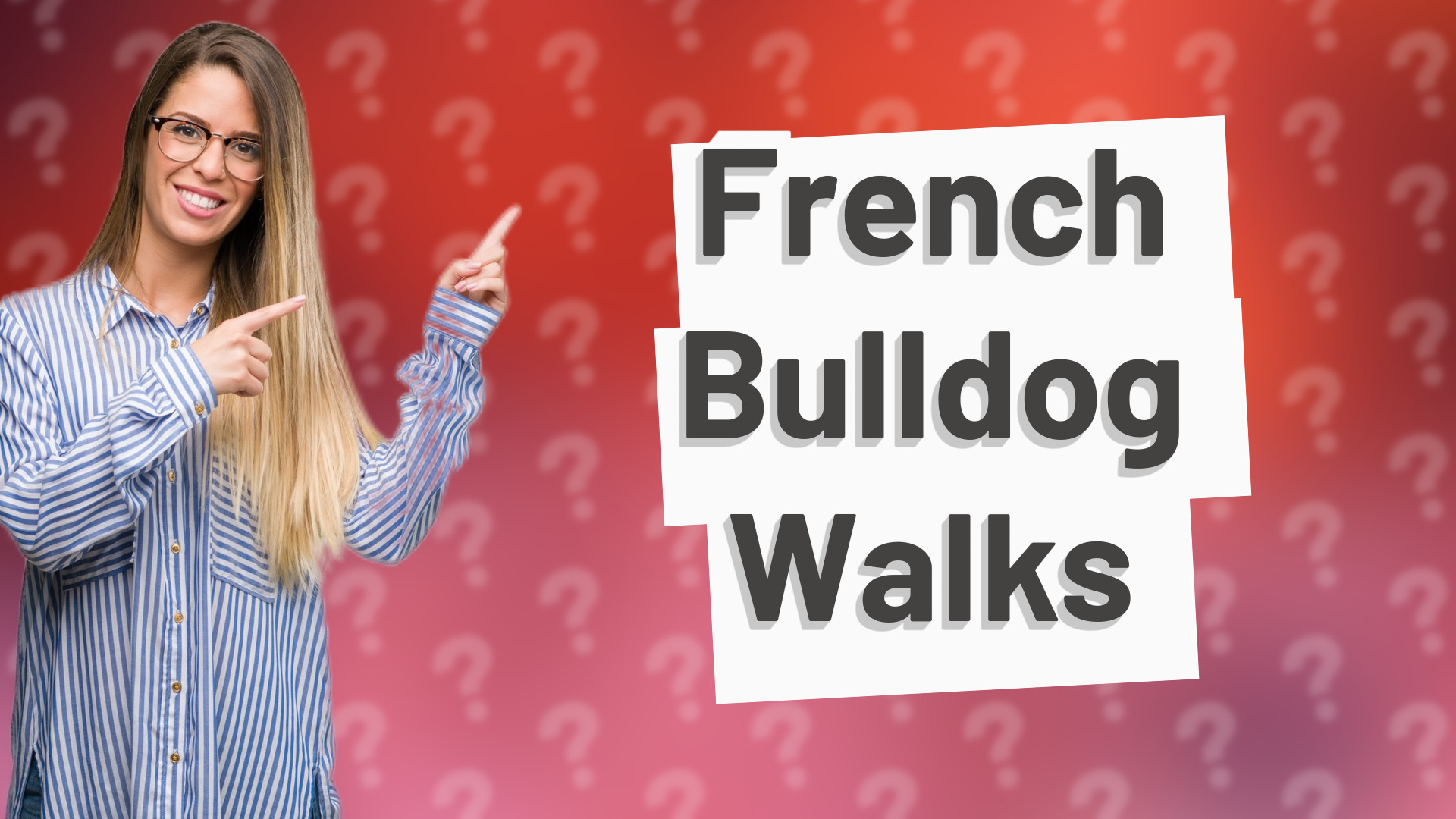 French Bulldog Walks