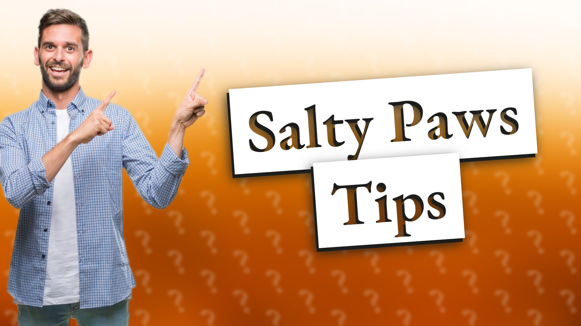 Salty Paws Tips