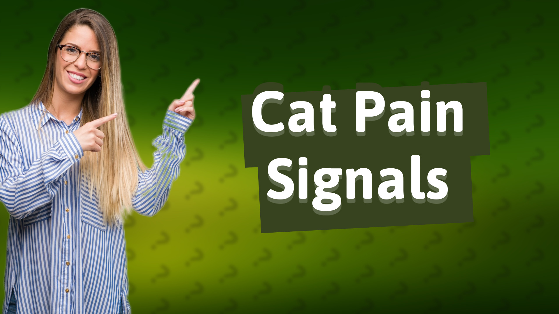 Cat Pain Signals
