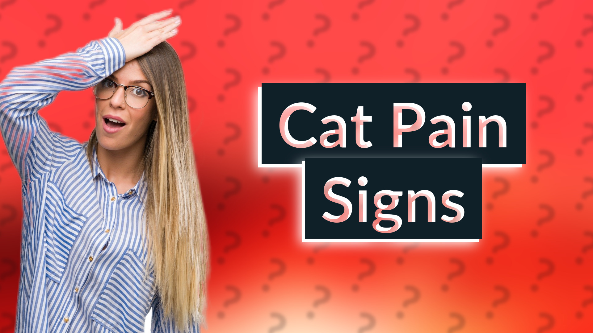 Cat Pain Signs