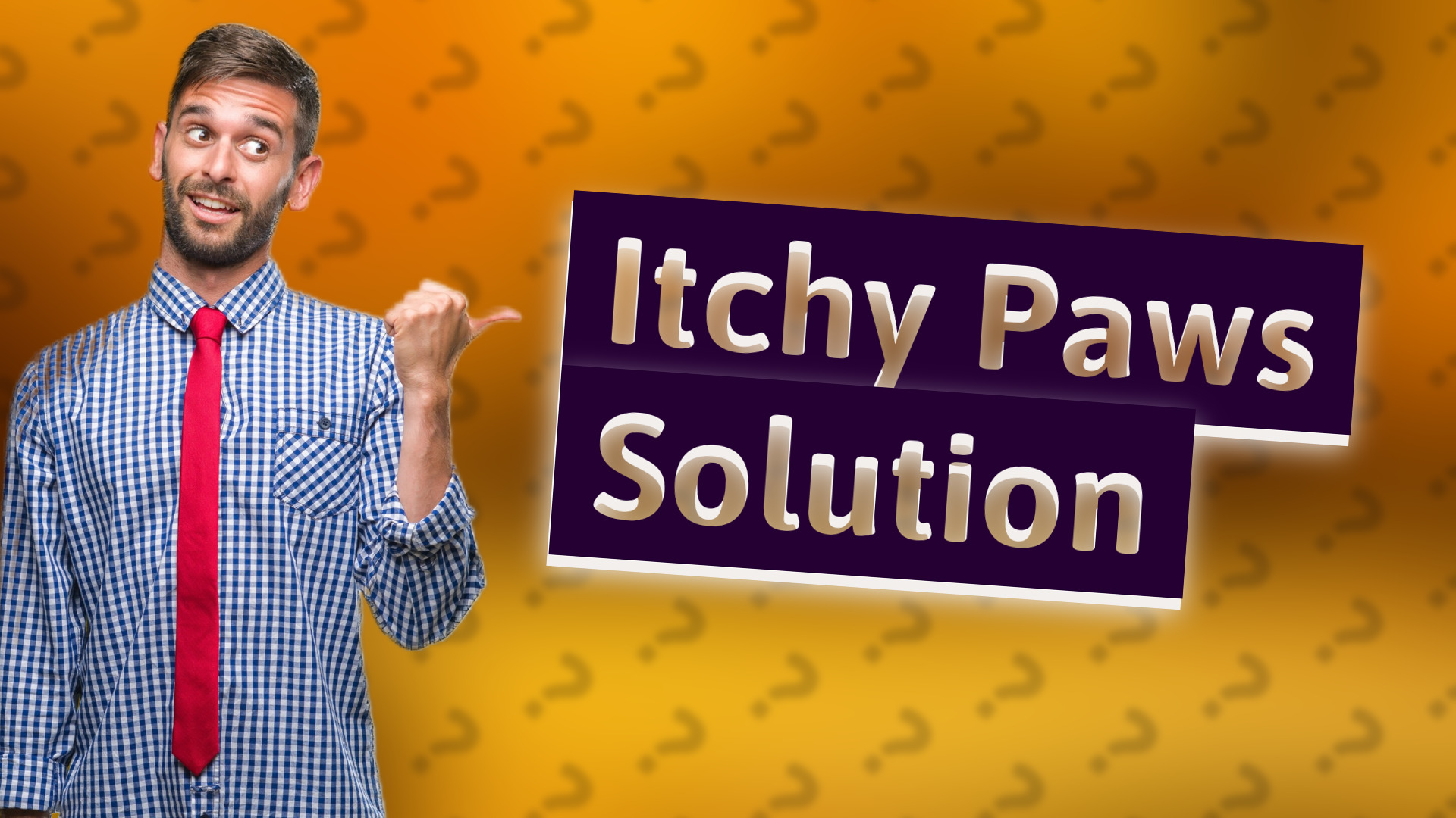 Itchy Paws Solution