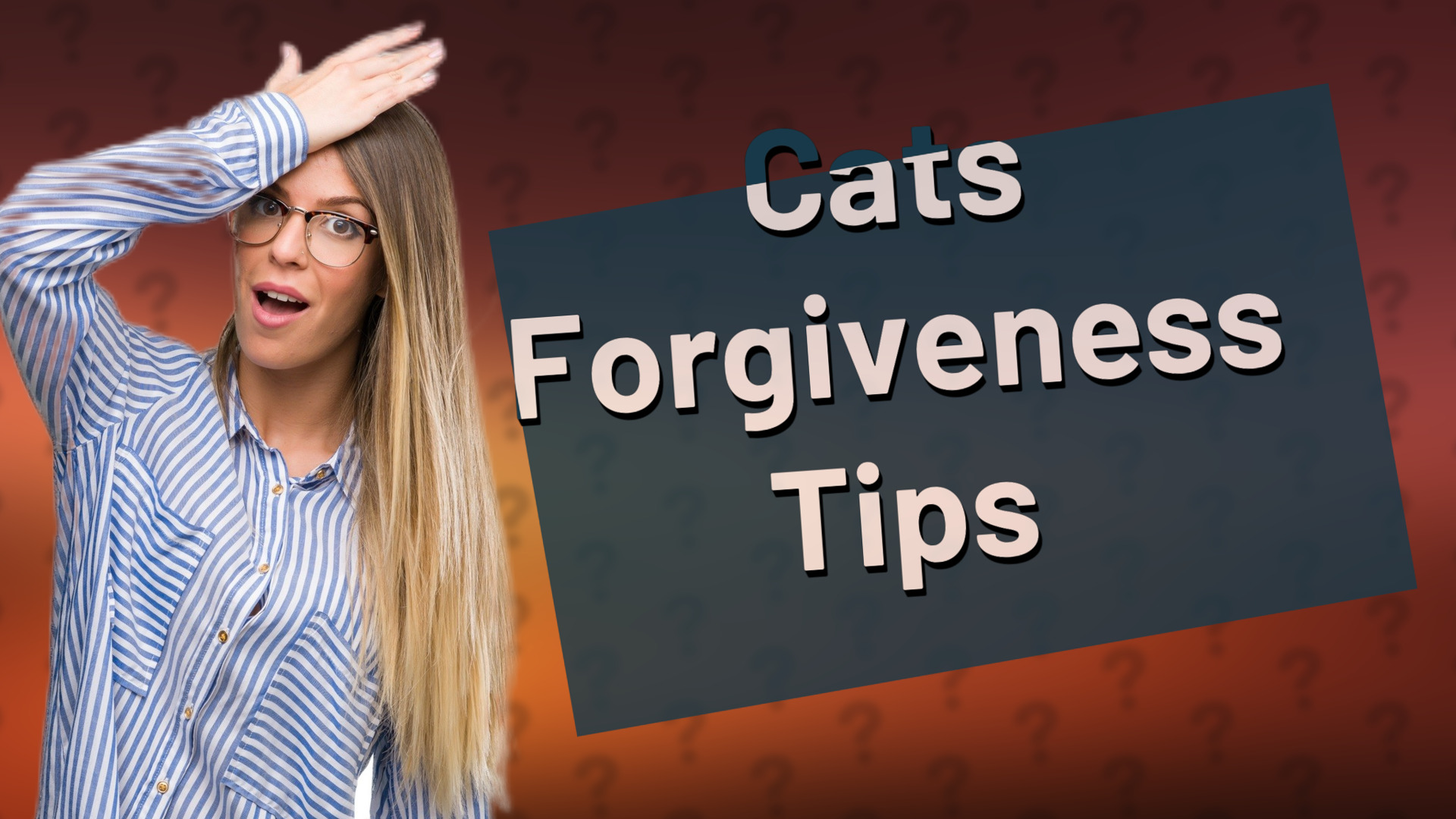Cats Forgiveness Tips