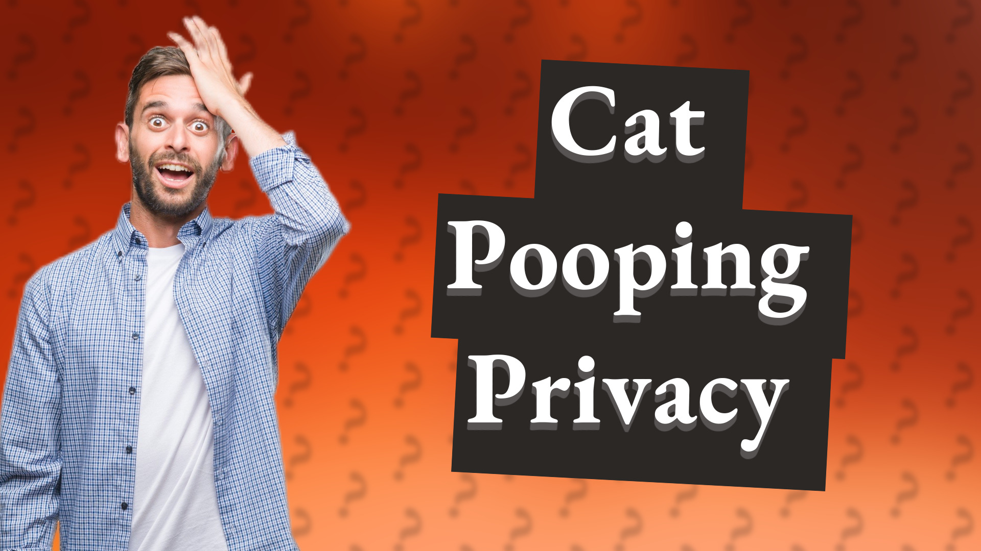 Cat Pooping Privacy