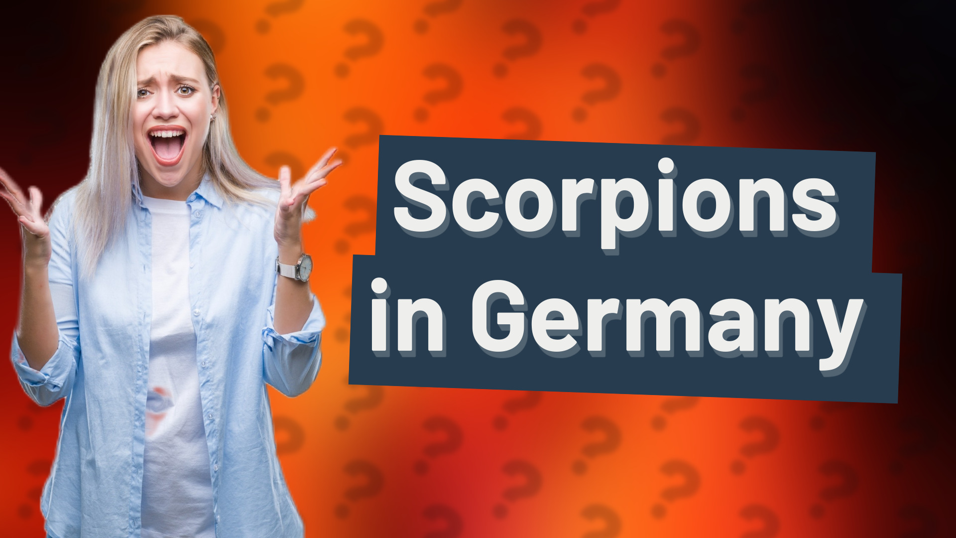 Scorpions in Germany