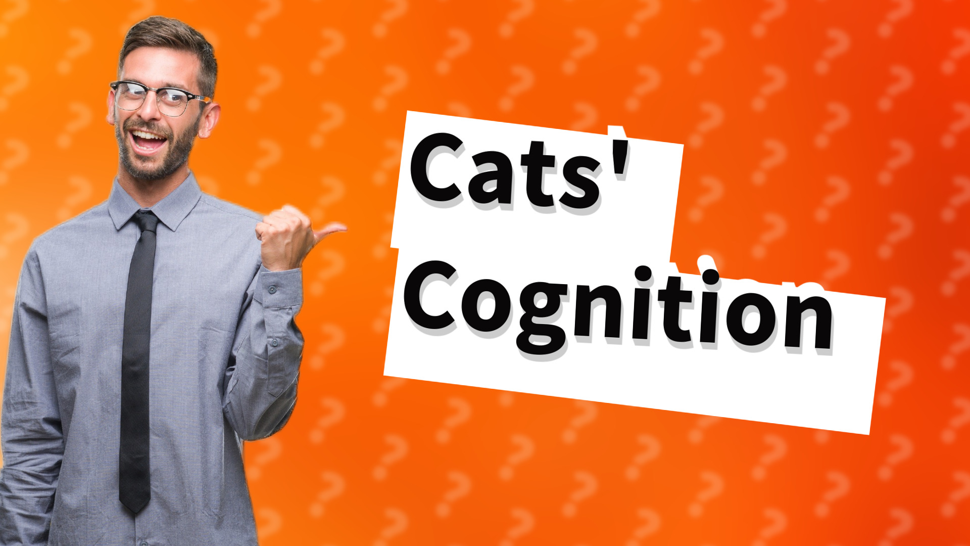 Cats' Cognition
