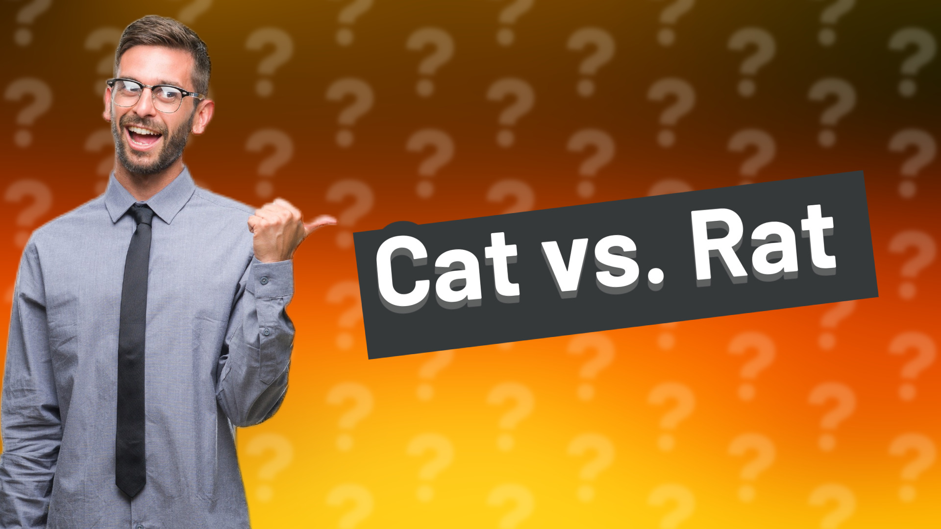 Cat vs. Rat