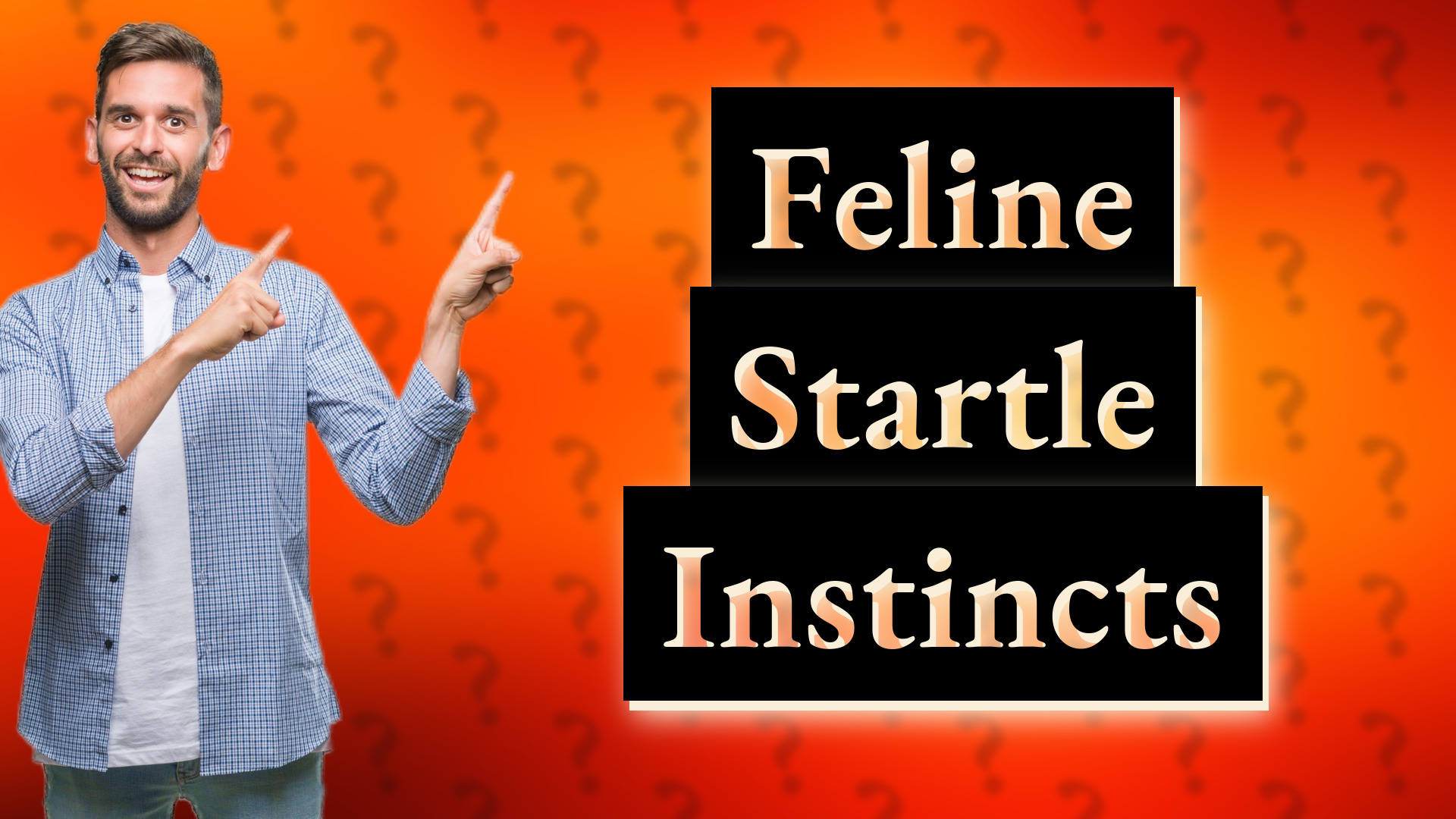 Feline Startle Instincts