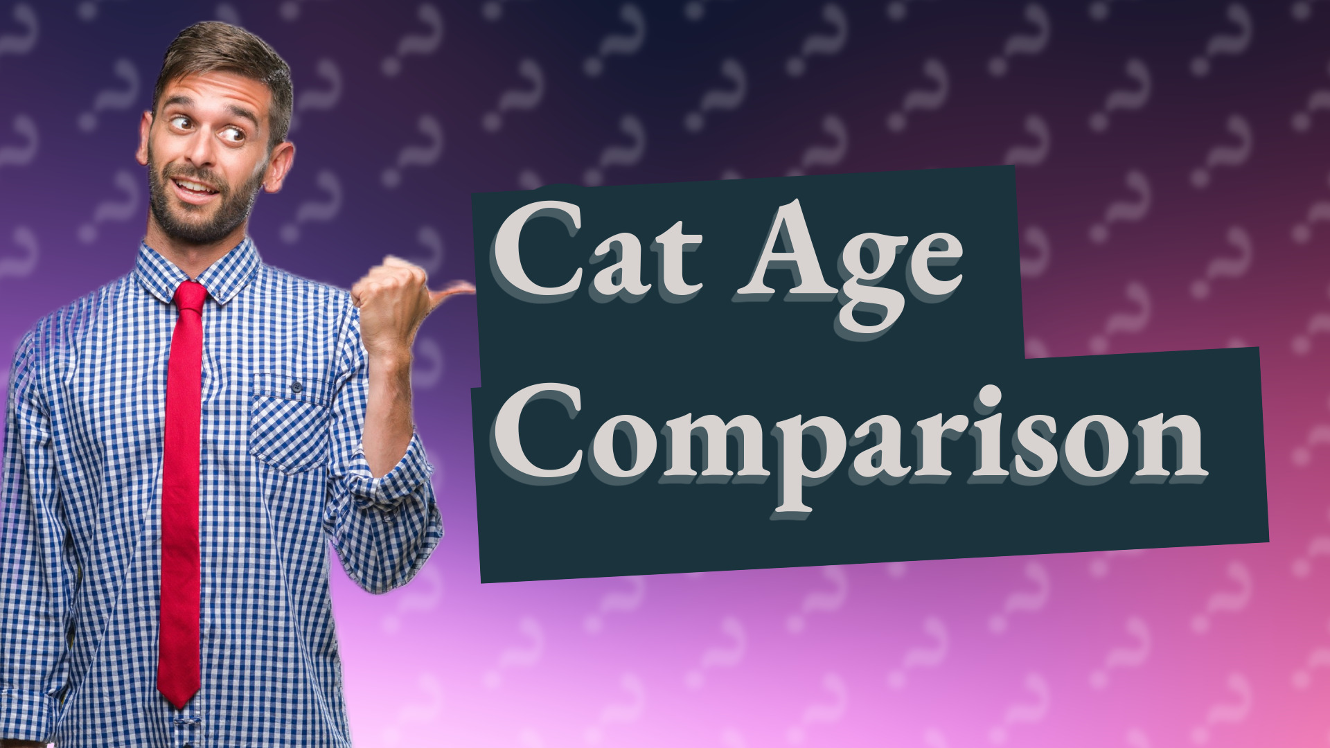 Cat Age Comparison