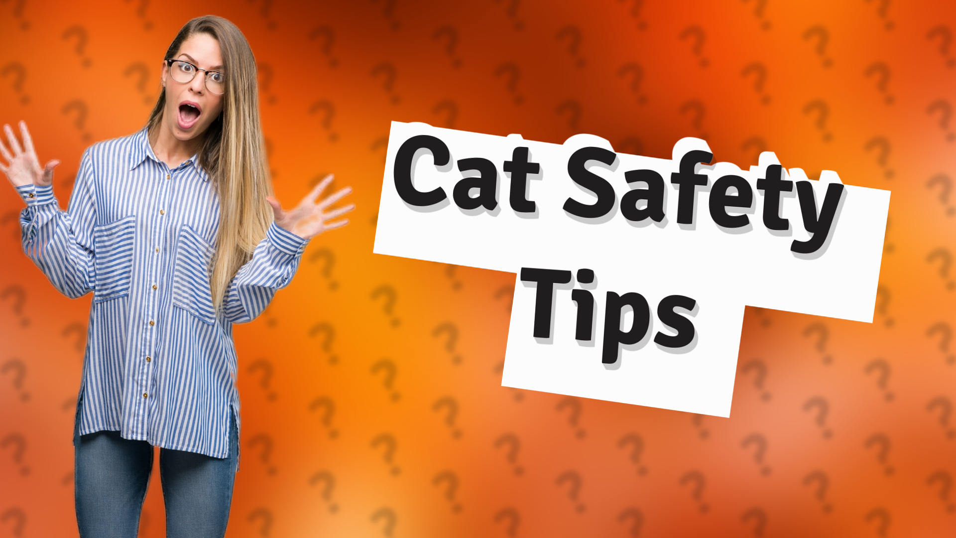 Cat Safety Tips