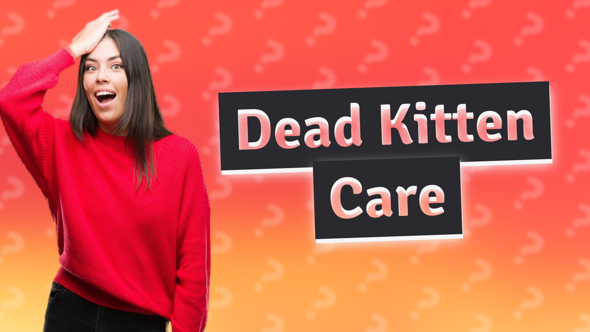 Dead Kitten Care