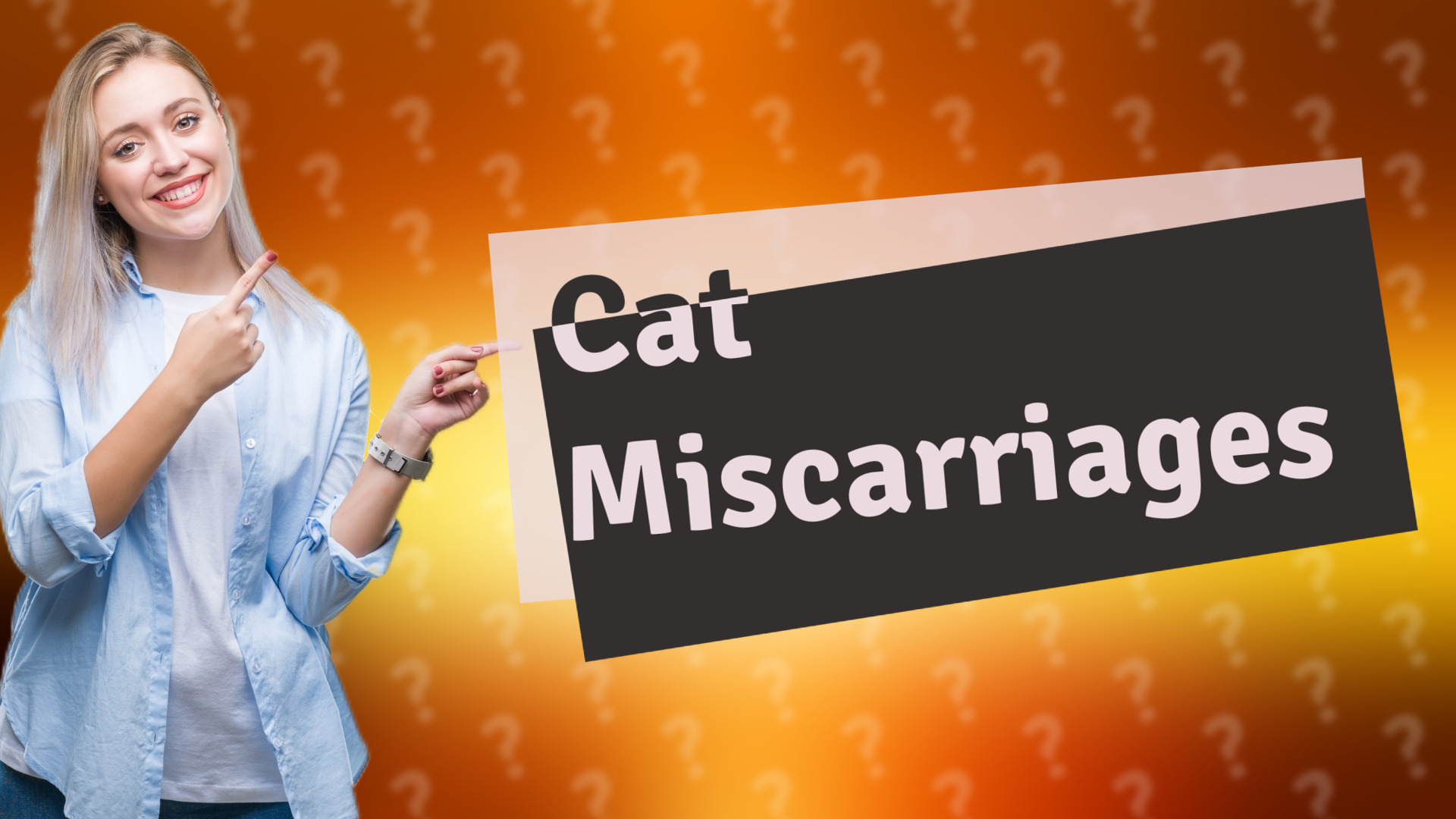 Cat Miscarriages