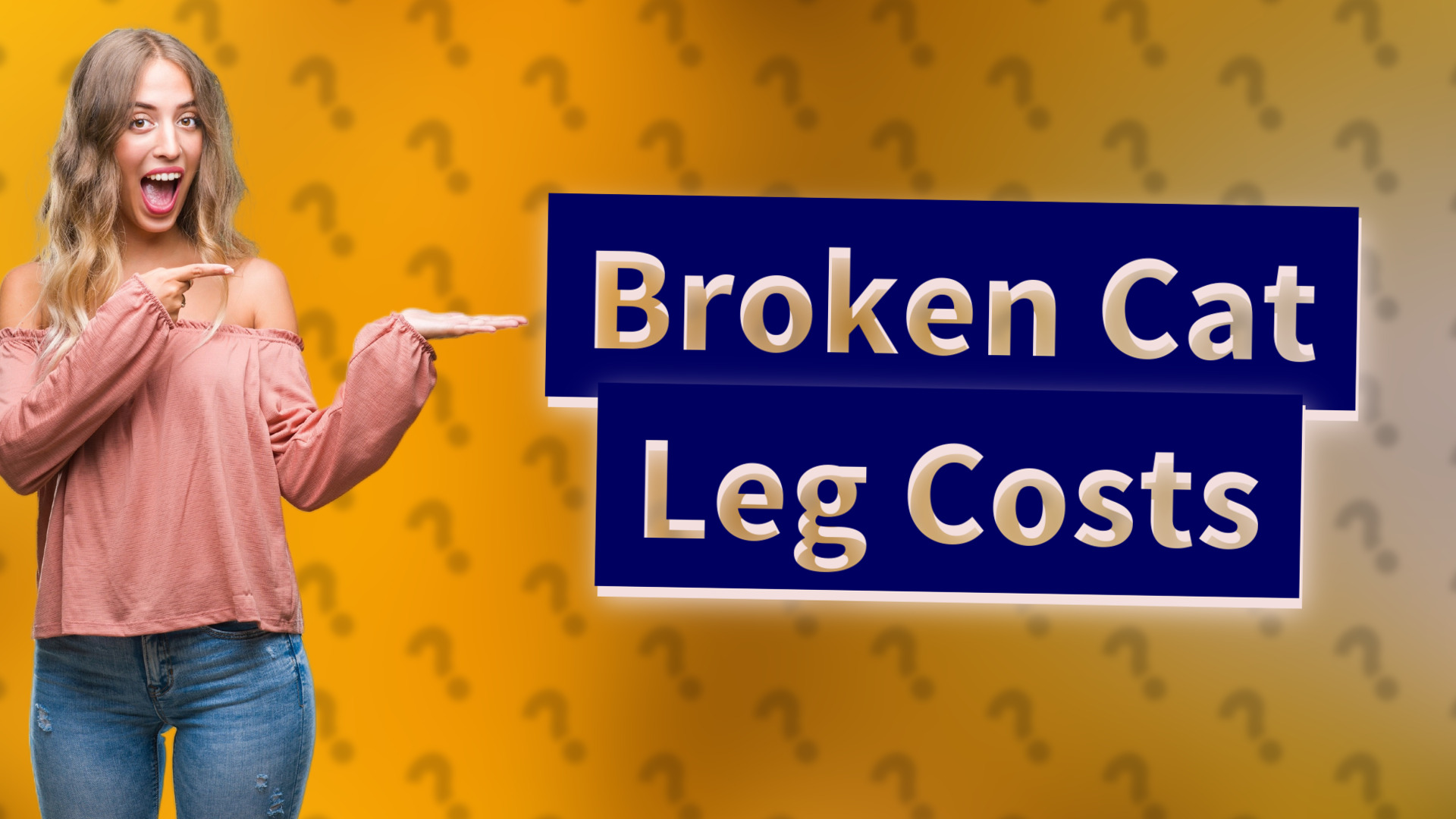 Broken Cat Leg Costs
