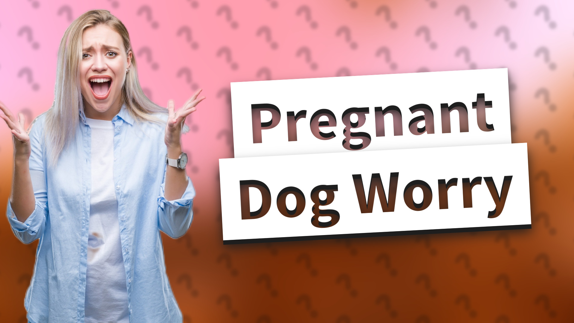Pregnant Dog Worry