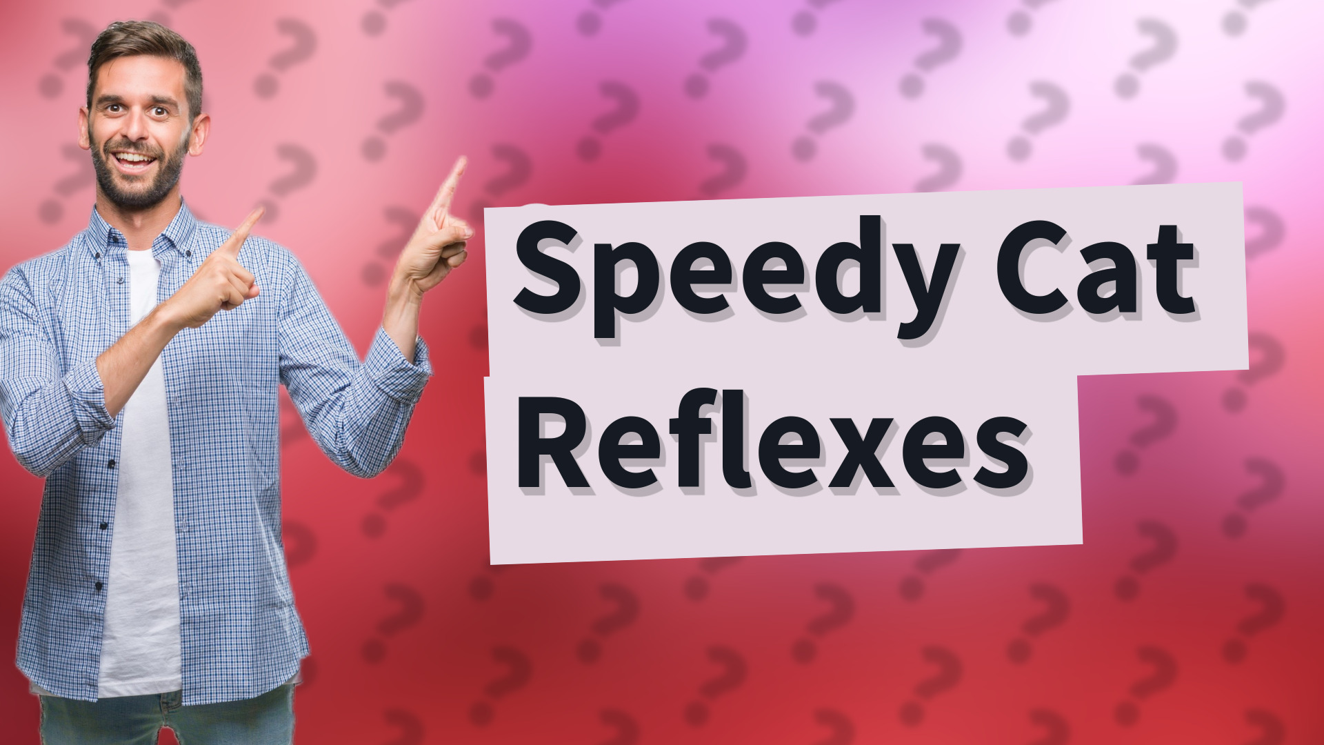 Speedy Cat Reflexes
