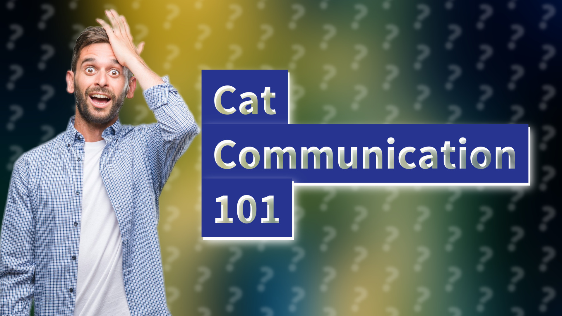 Cat Communication 101