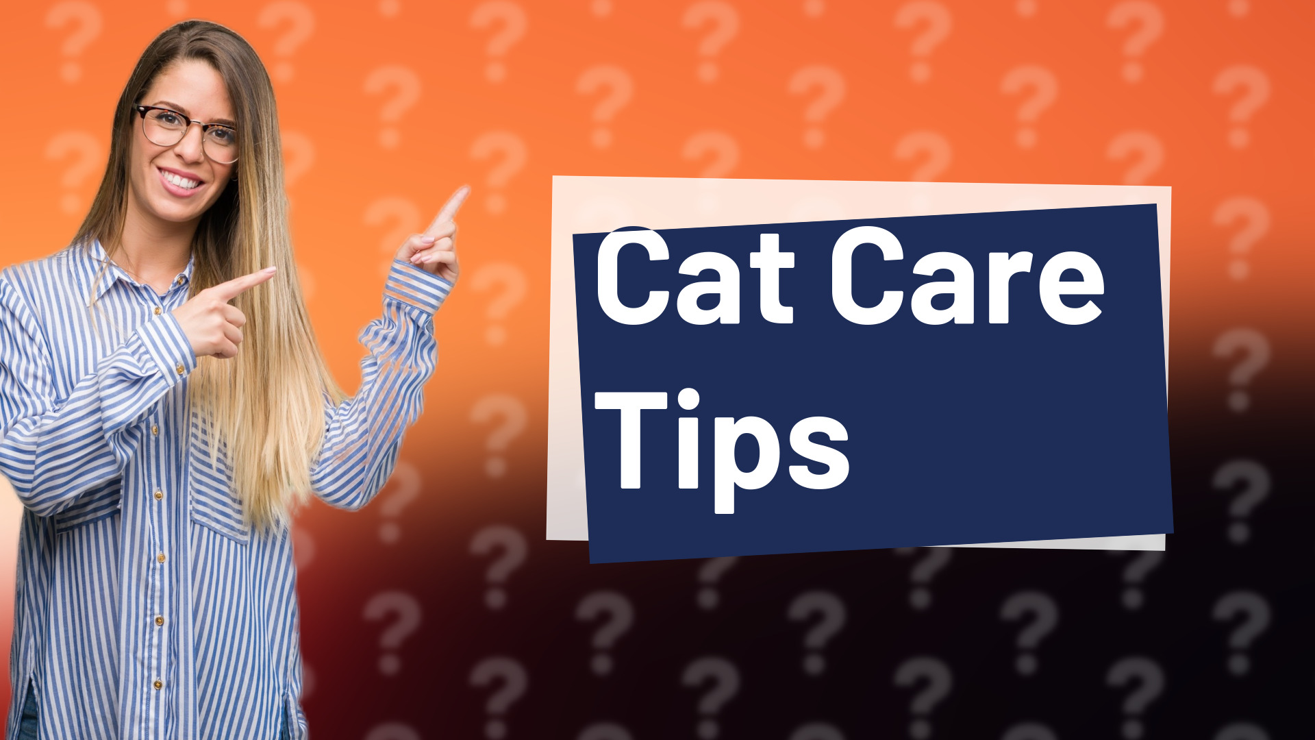 Cat Care Tips