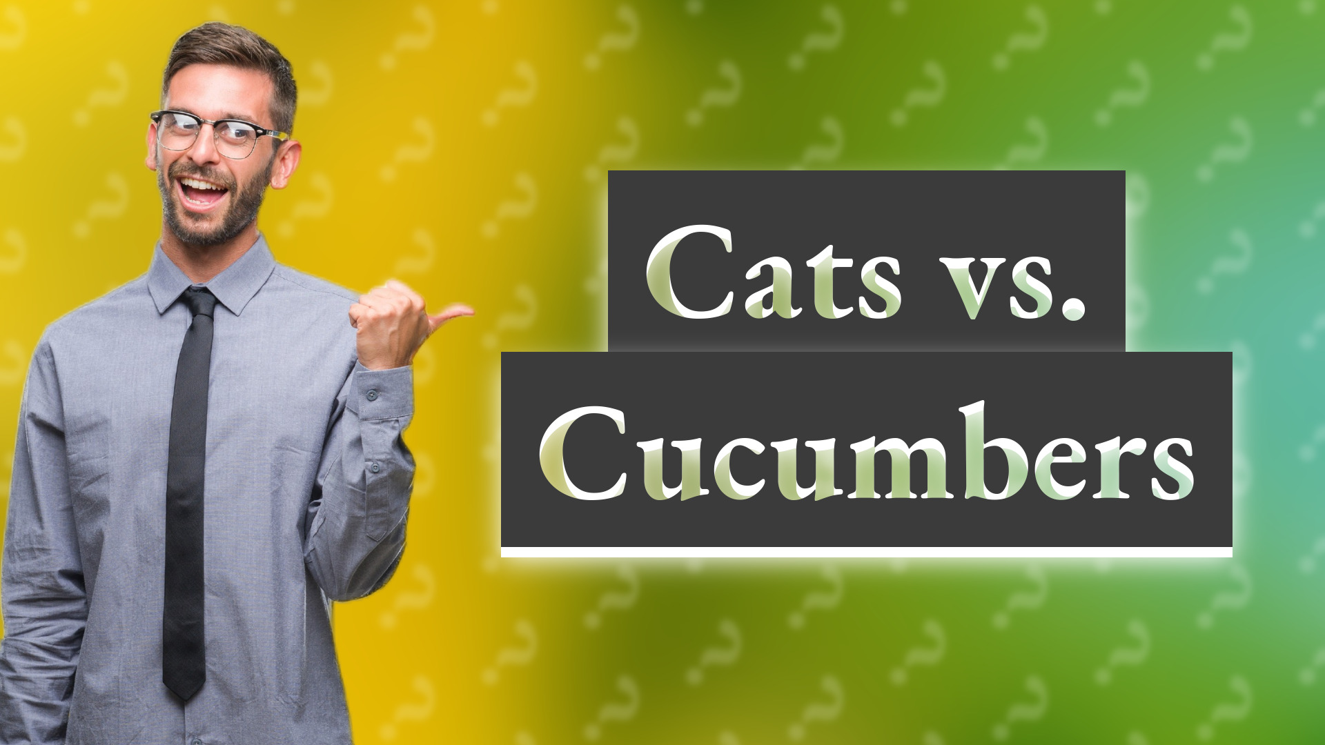 Cats vs. Cucumbers