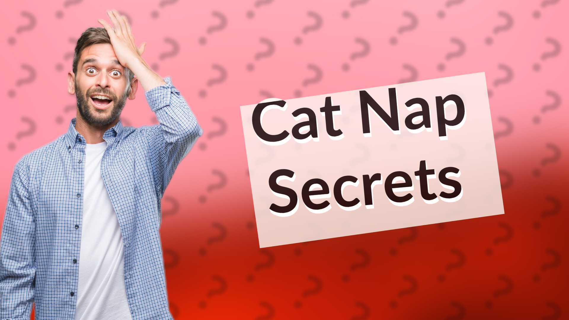 Cat Nap Secrets