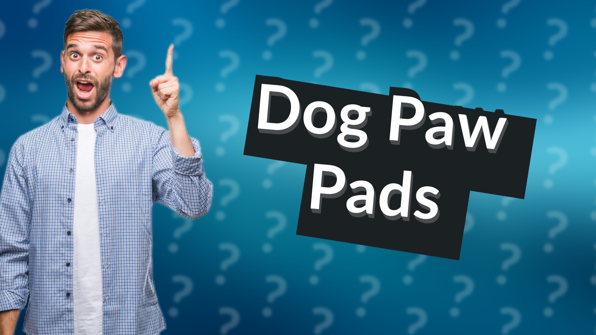 Dog Paw Pads