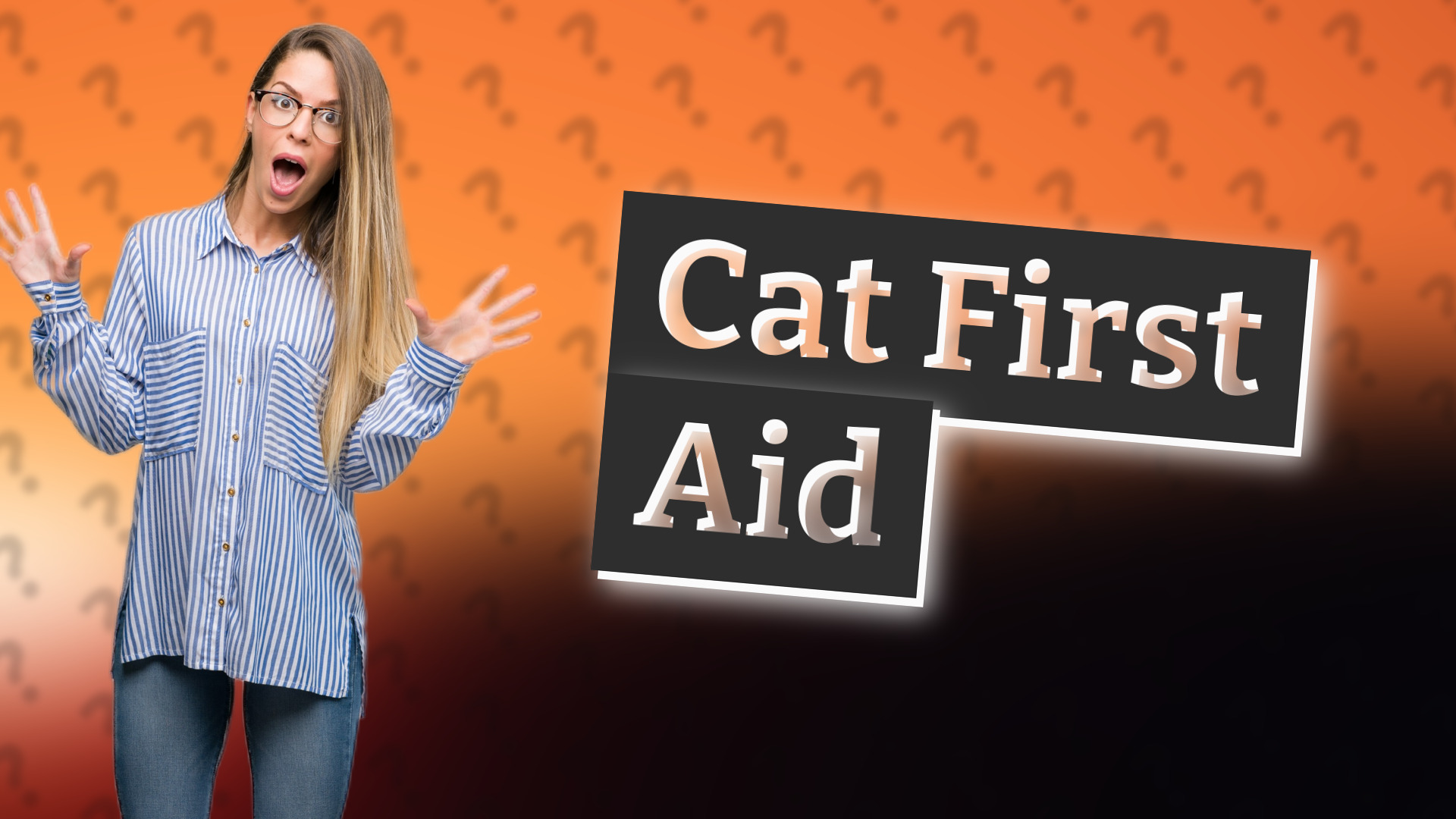 Cat First Aid