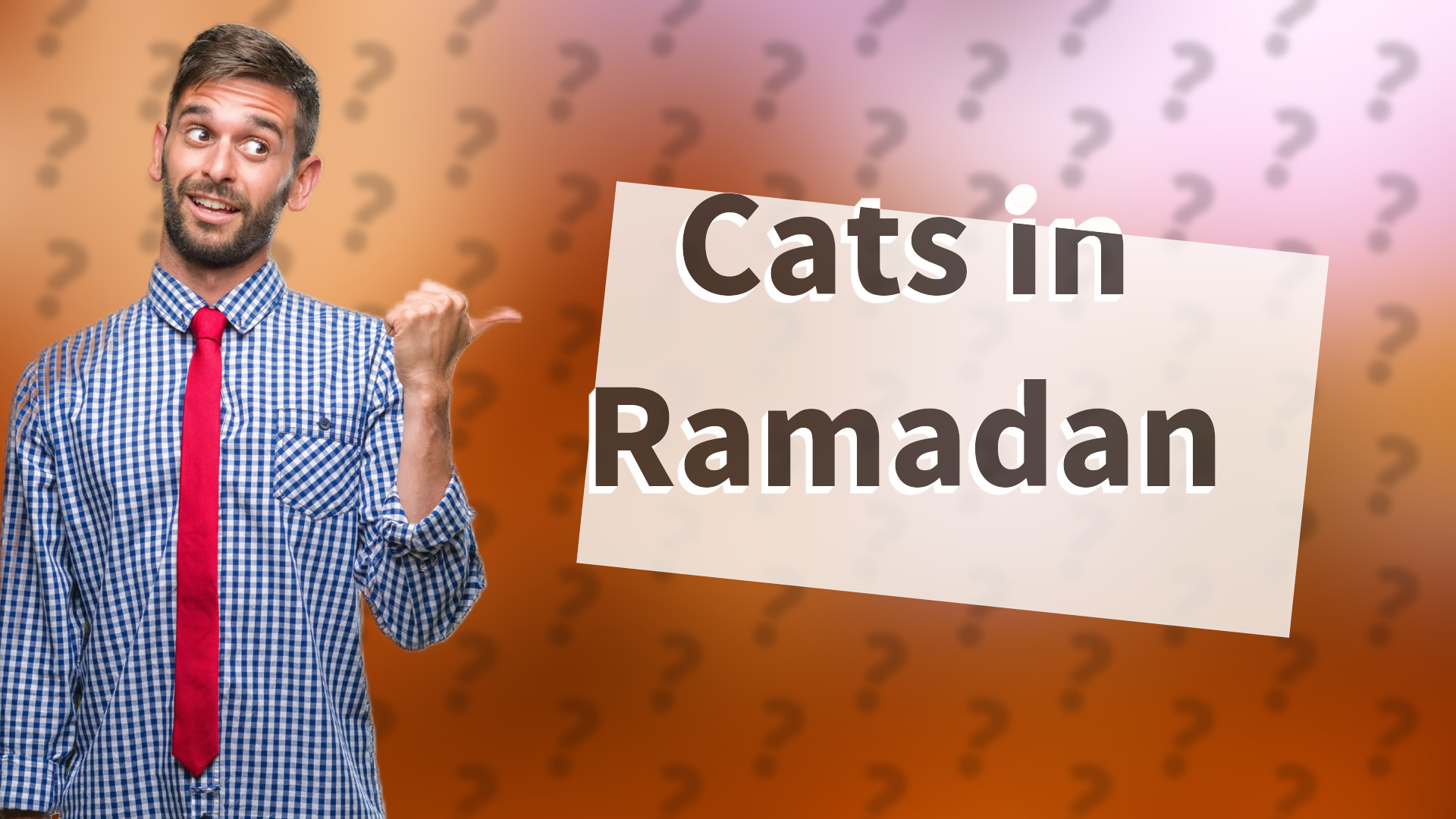 Cats in Ramadan