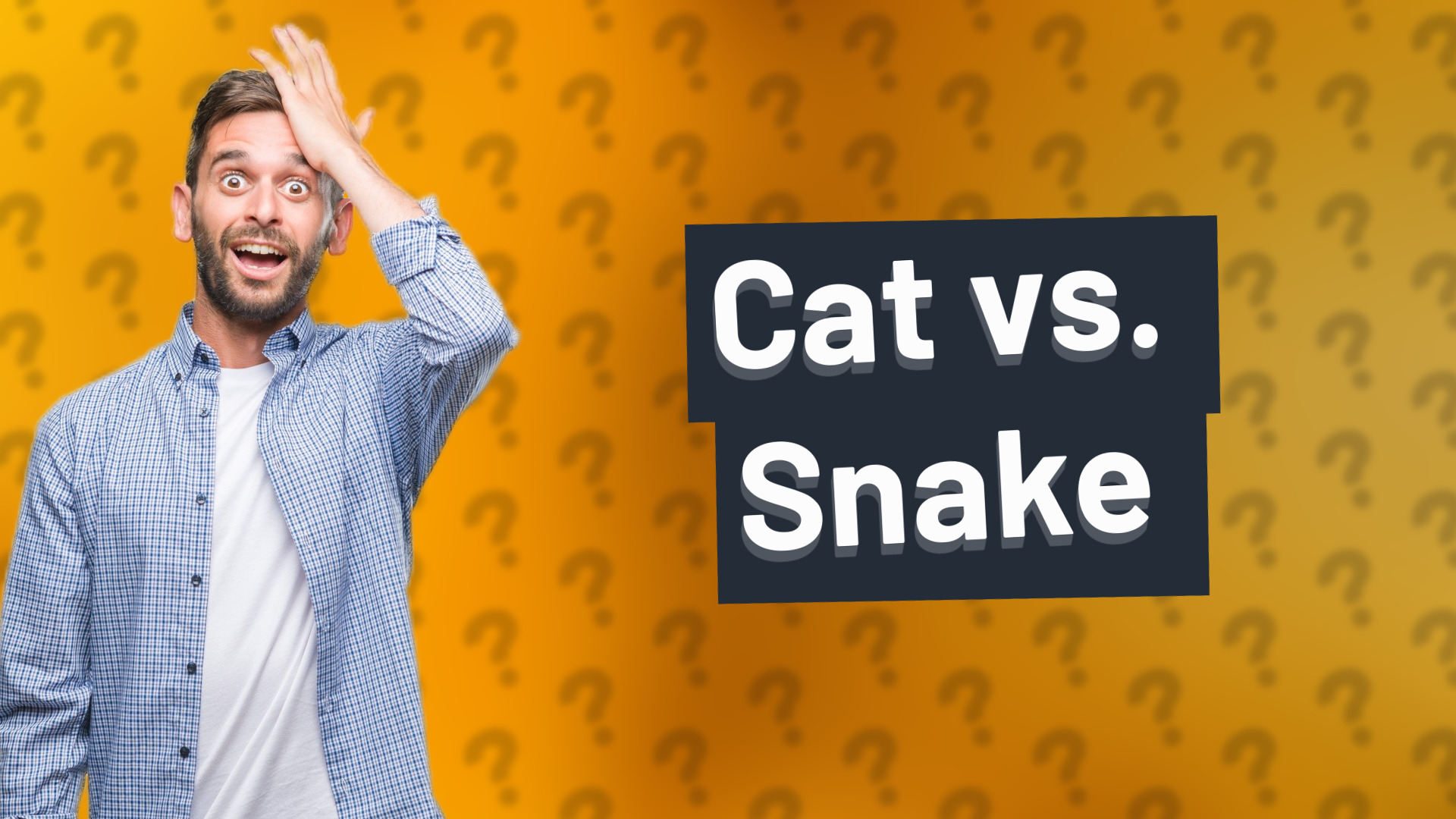 Cat vs. Snake