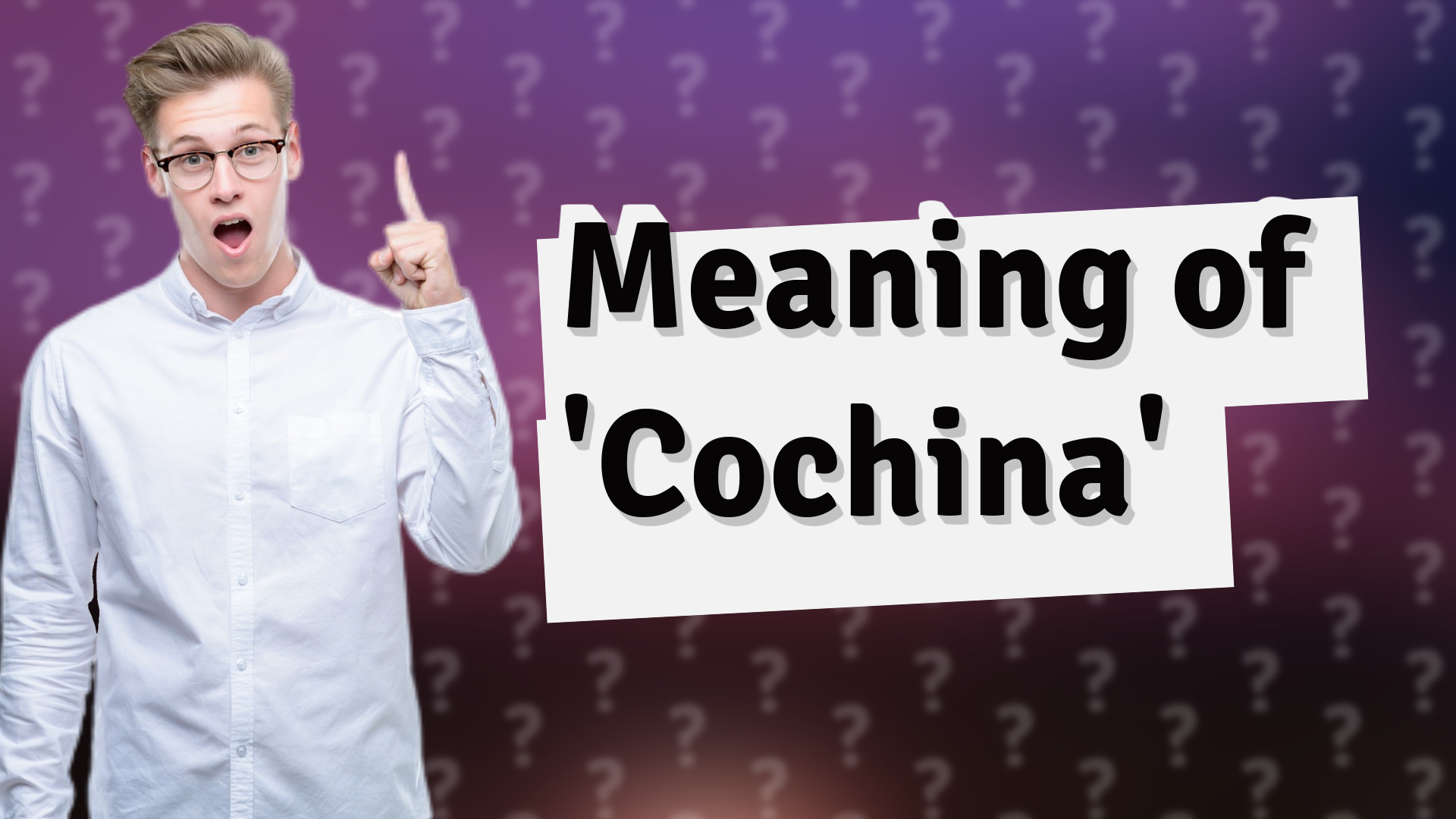 Meaning of 'Cochina'