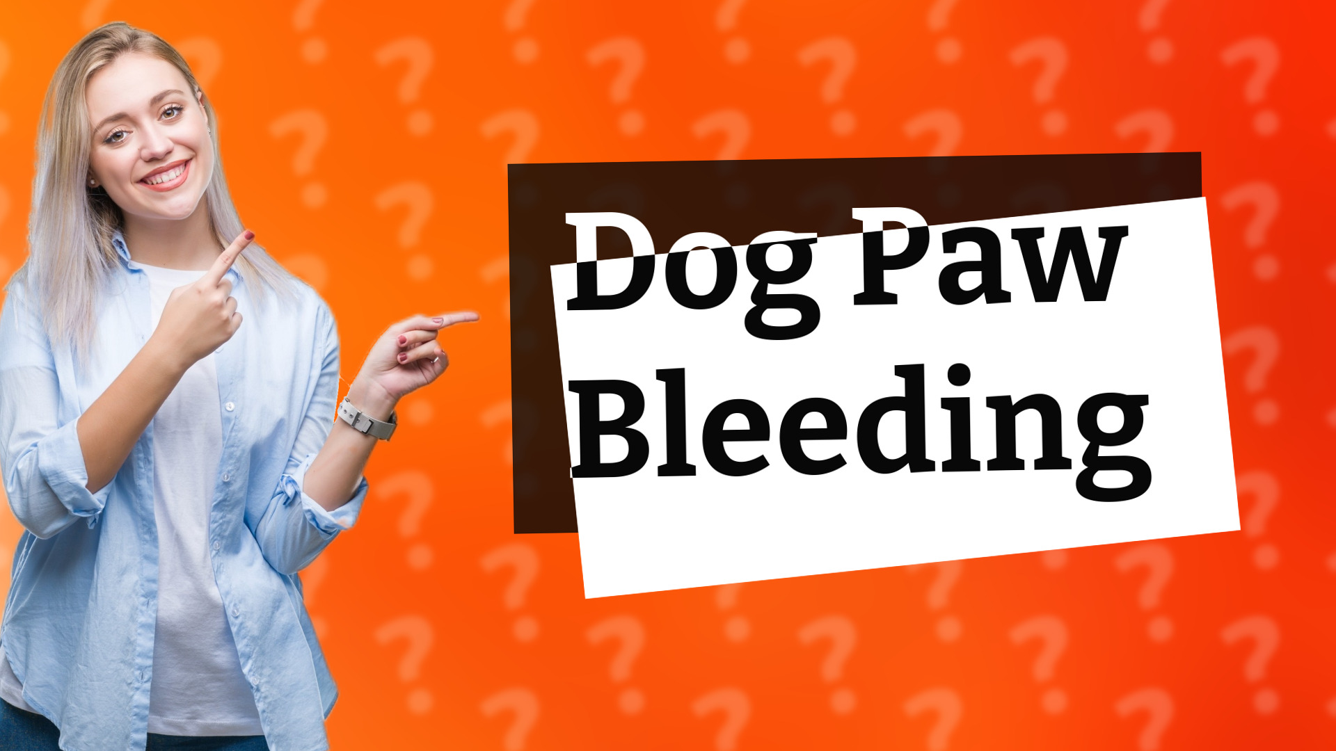 Dog Paw Bleeding