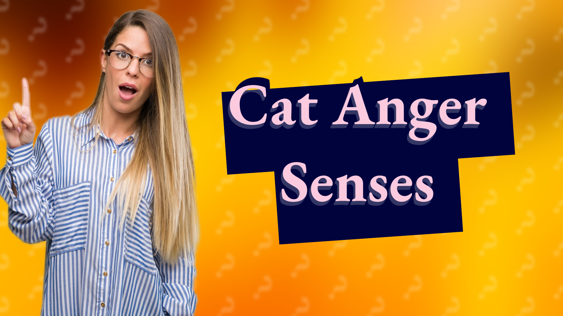 Cat Anger Senses