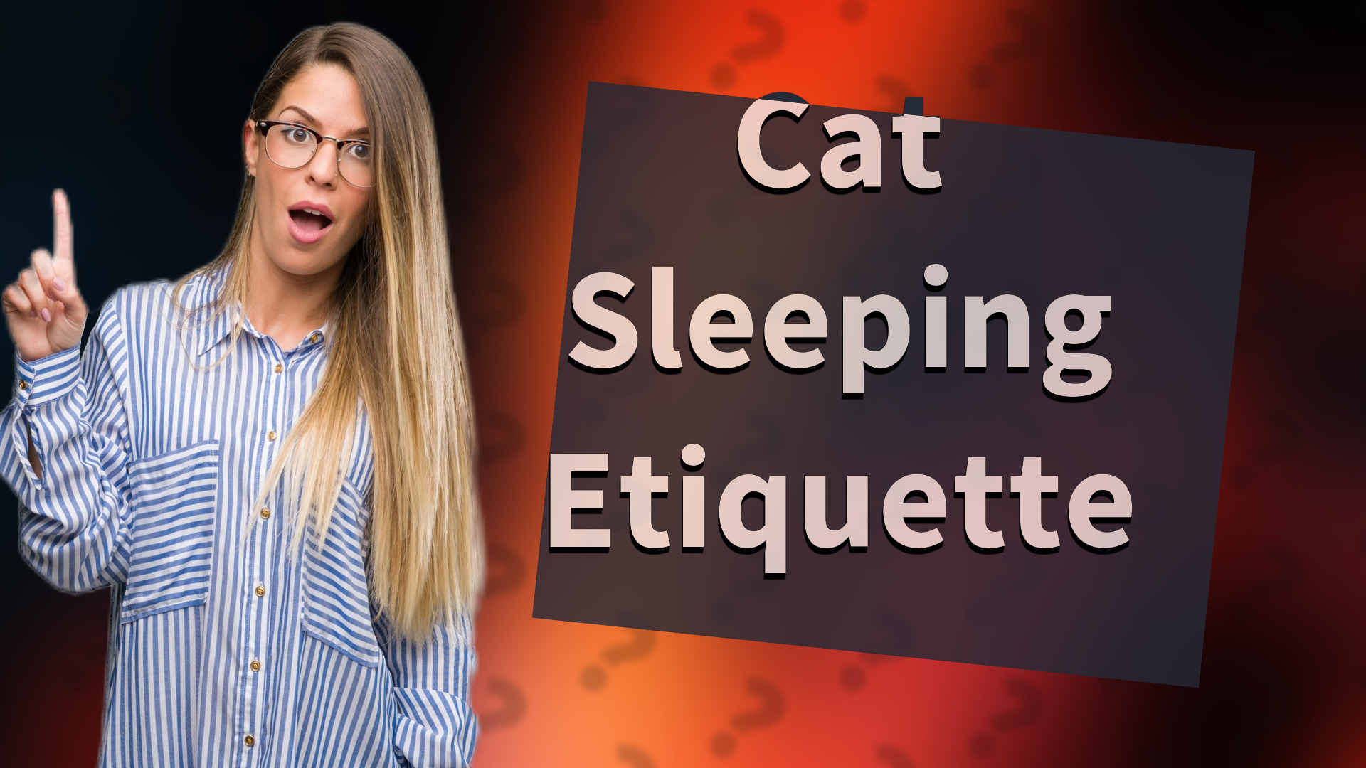 Cat Sleeping Etiquette