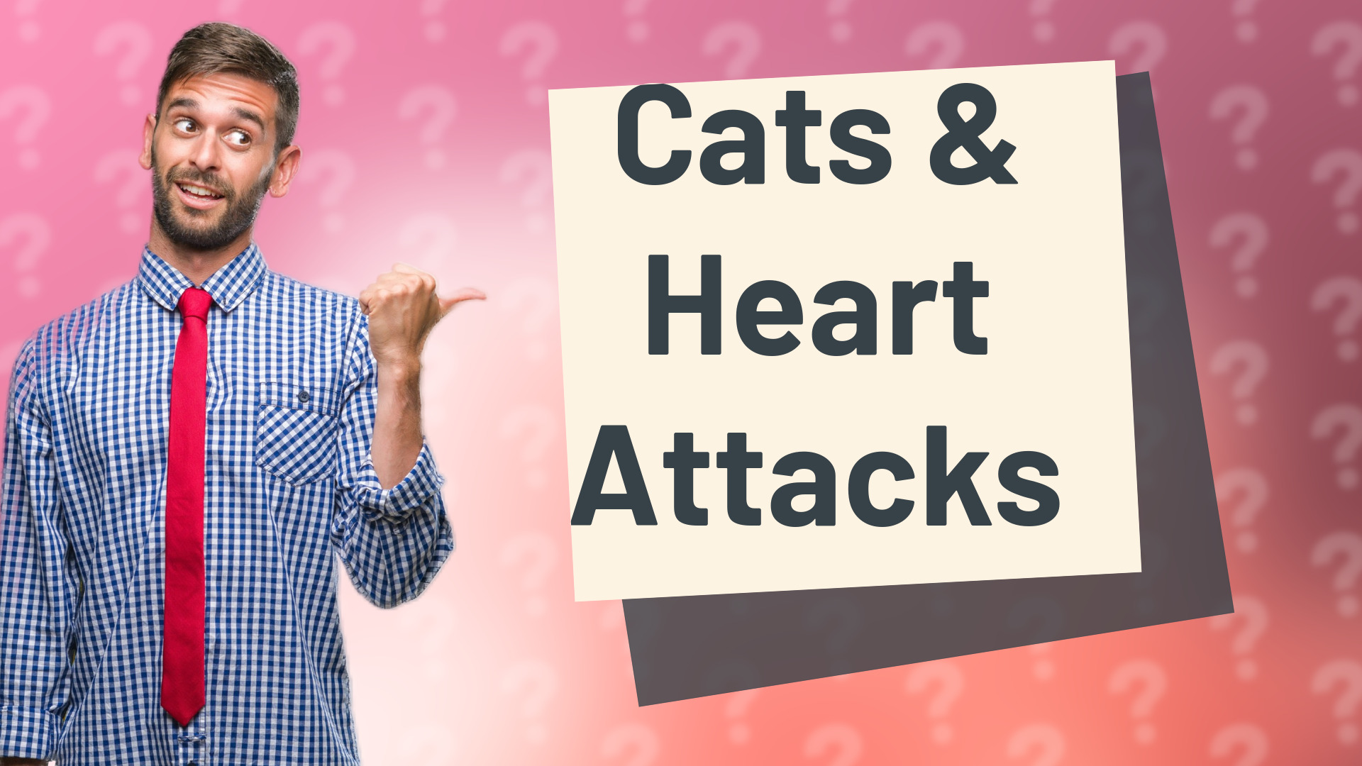 Cats & Heart Attacks
