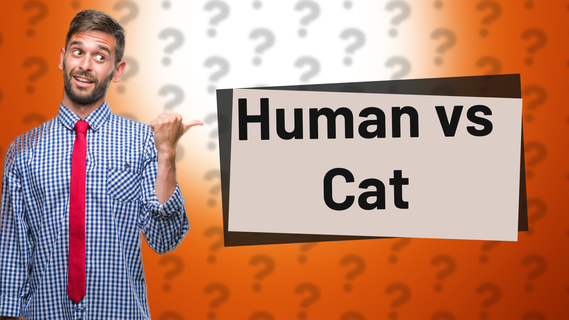 Human vs Cat