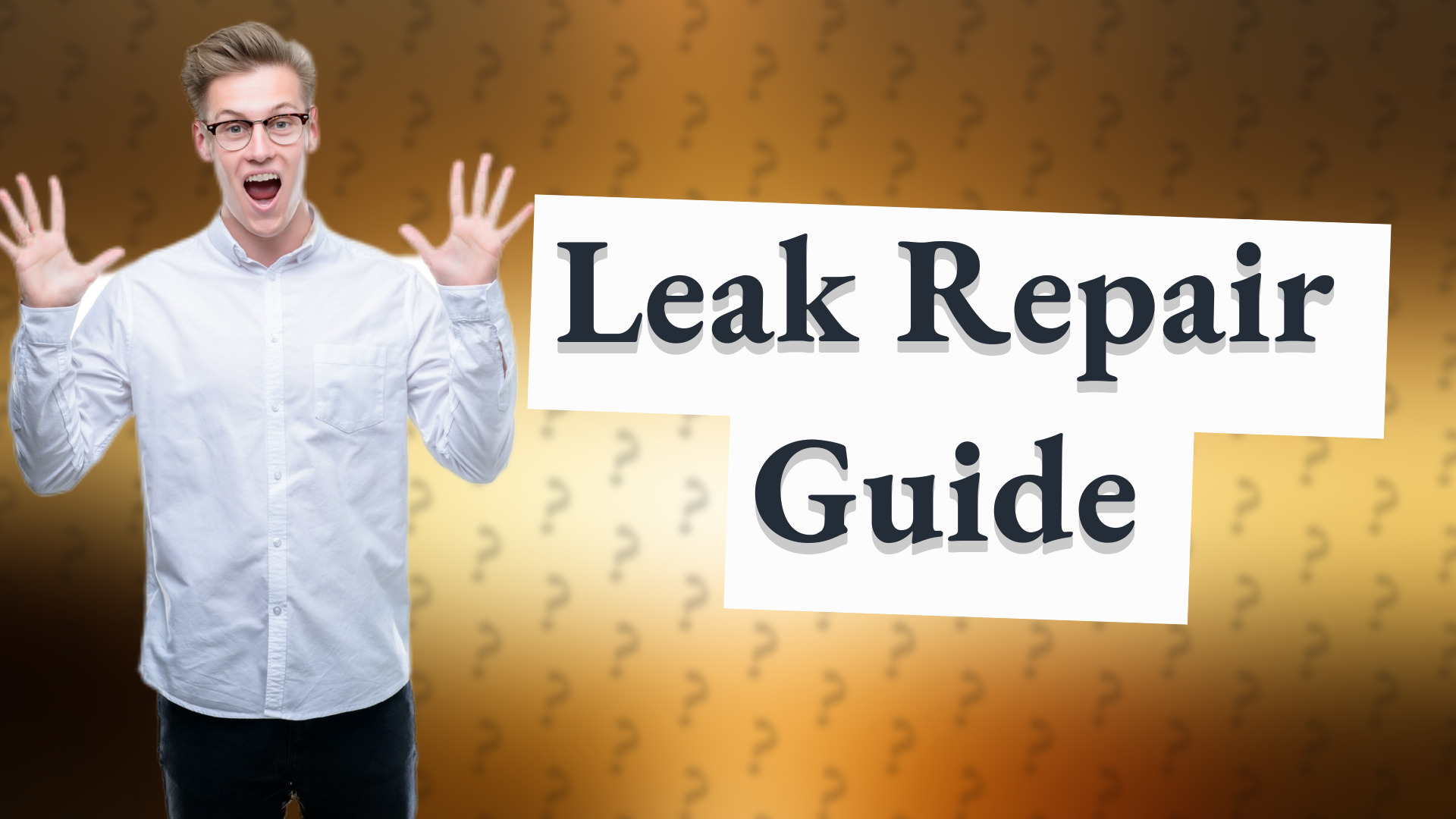 Leak Repair Guide