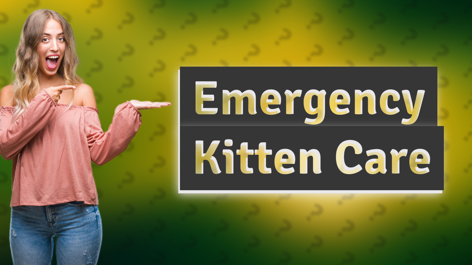Emergency Kitten Care